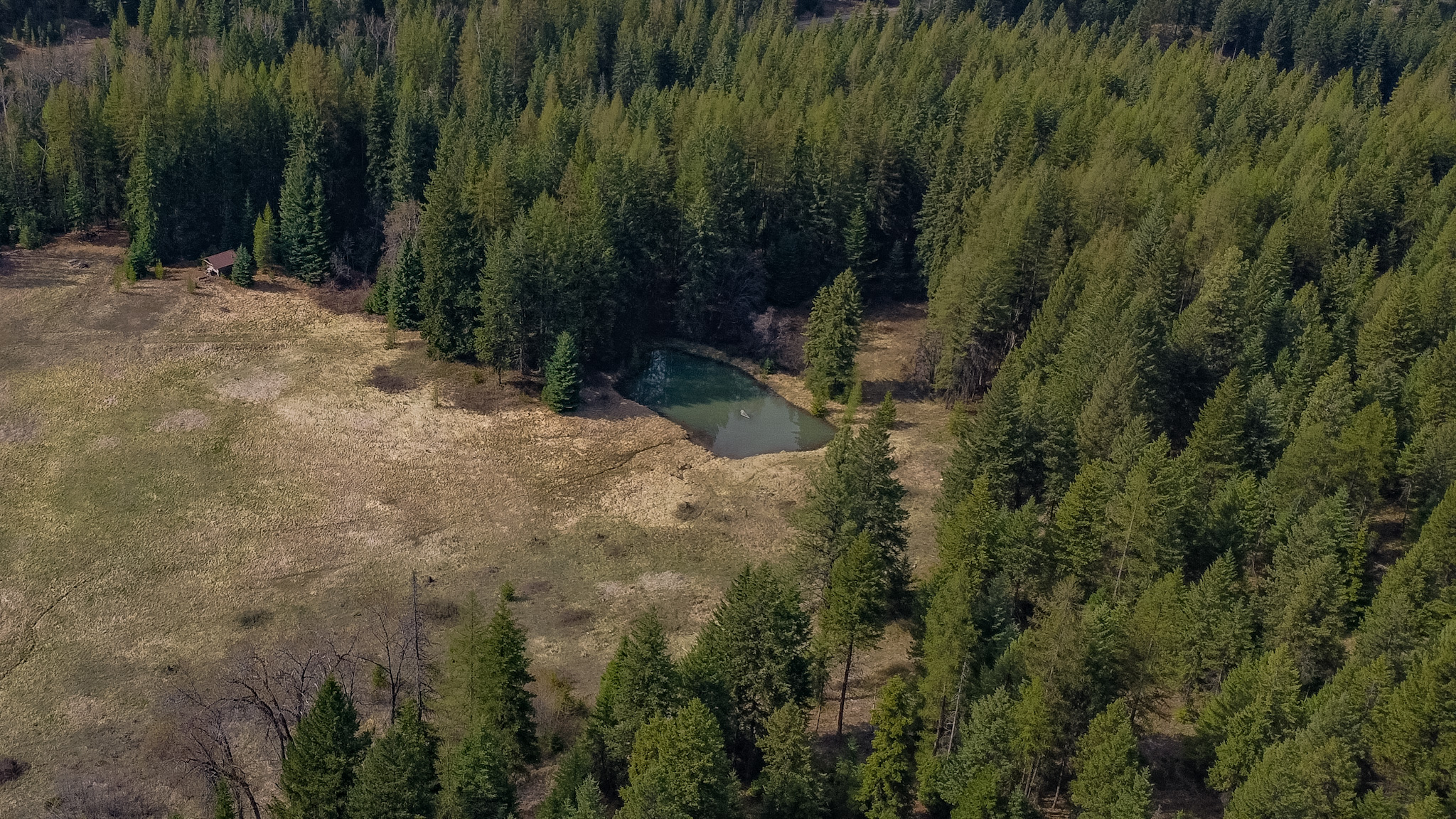 Nhn Warland Creek Road Property Photo 26
