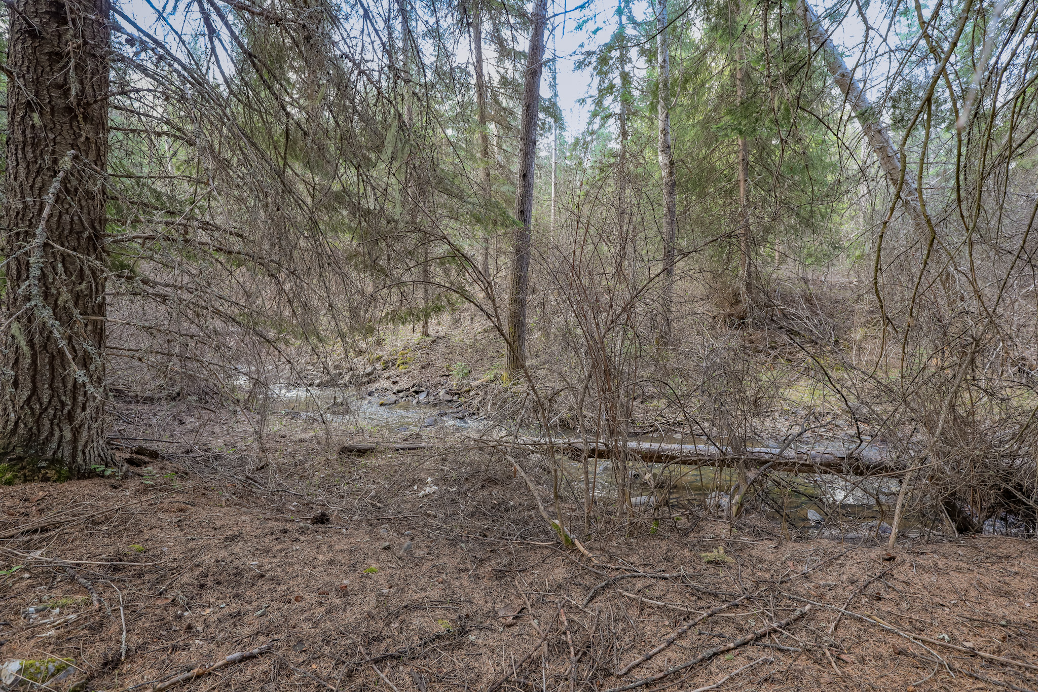Nhn Warland Creek Road Property Photo 28