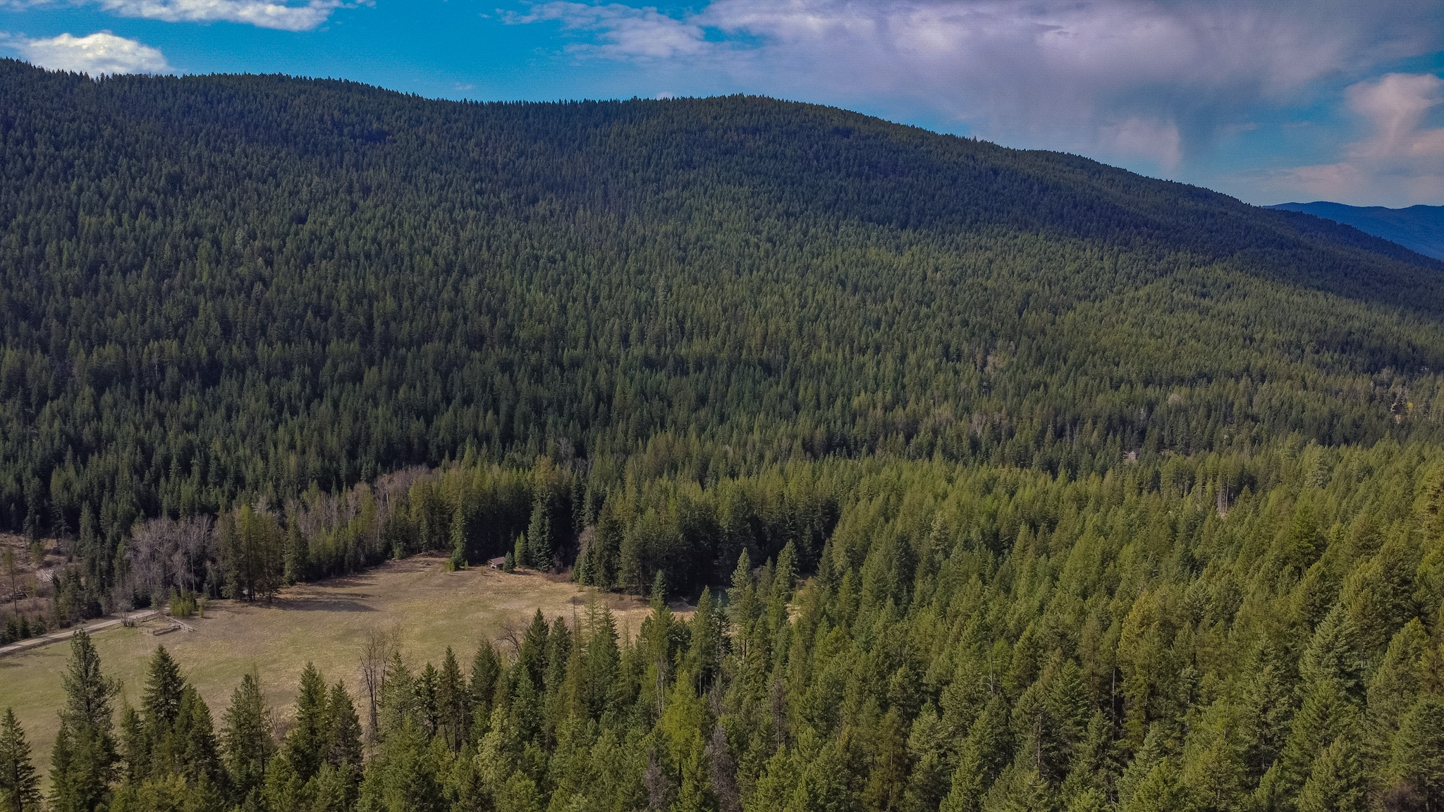 Nhn Warland Creek Road Property Photo 30