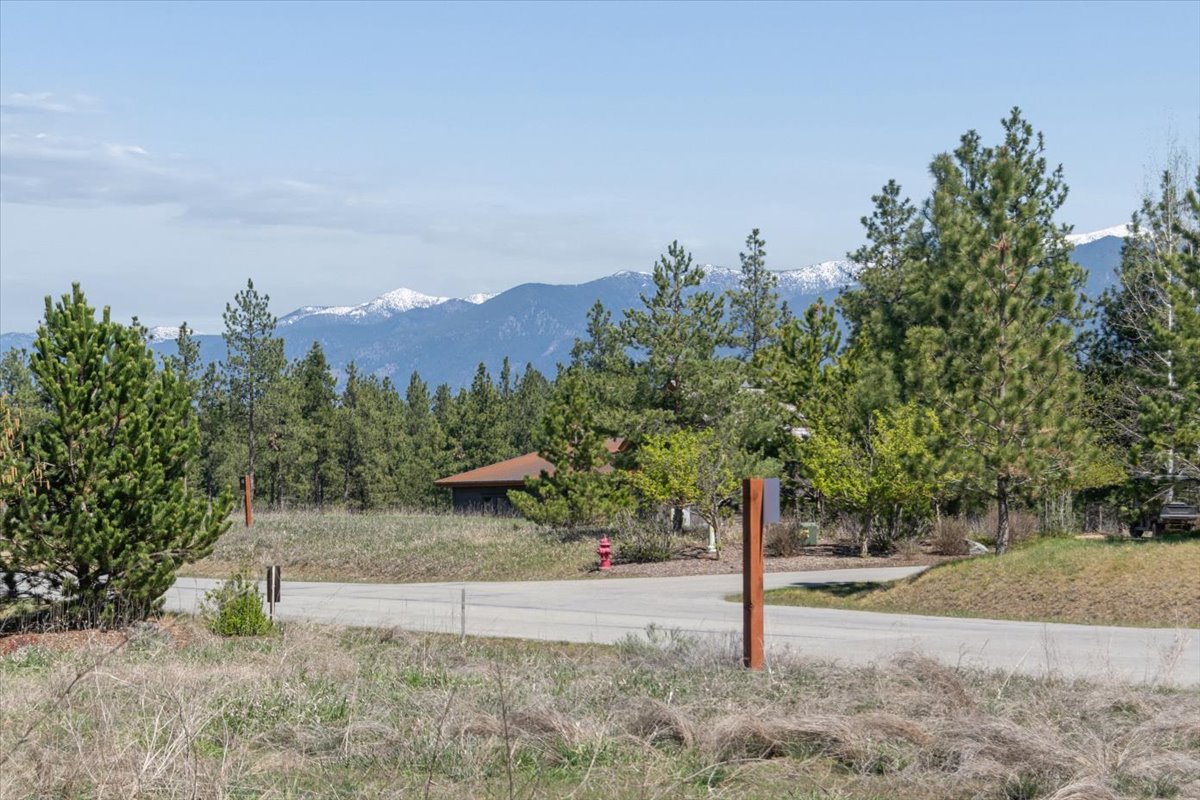 129 Rusty Iron Way Property Photo 12