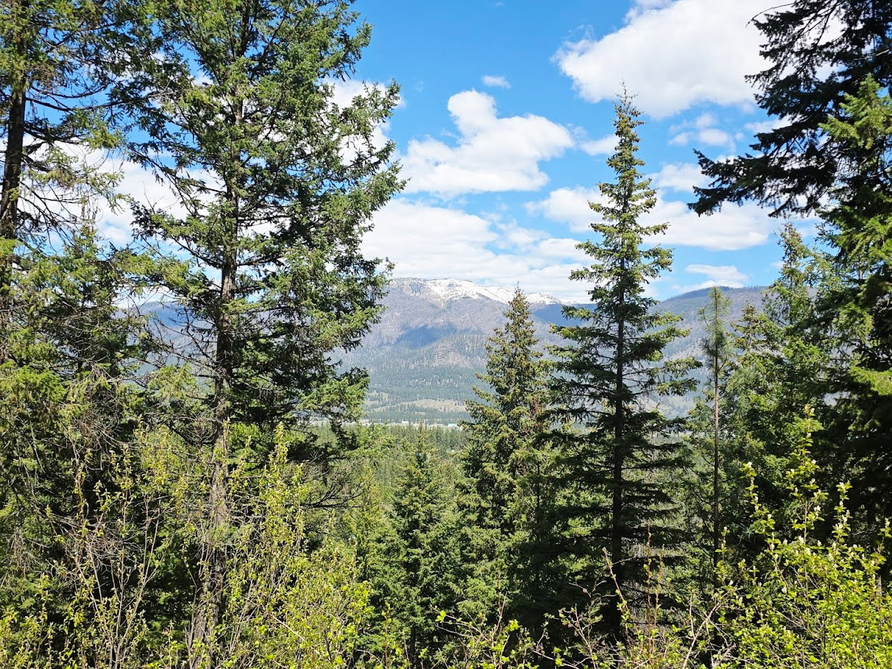 93 Wapiti Point Road Property Photo 1
