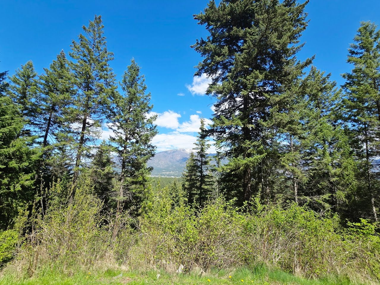 93 Wapiti Point Road Property Photo 5