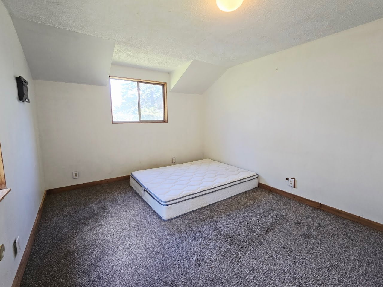 93 Wapiti Point Road Property Photo 13