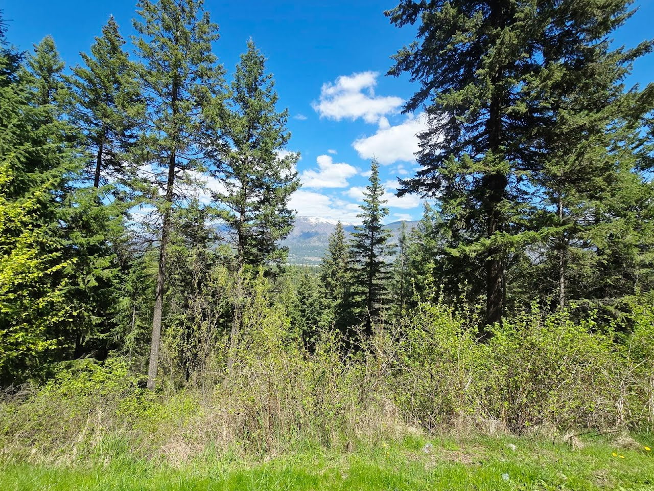 93 Wapiti Point Road Property Photo 17
