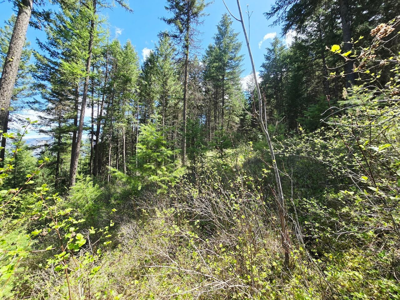 93 Wapiti Point Road Property Photo 19