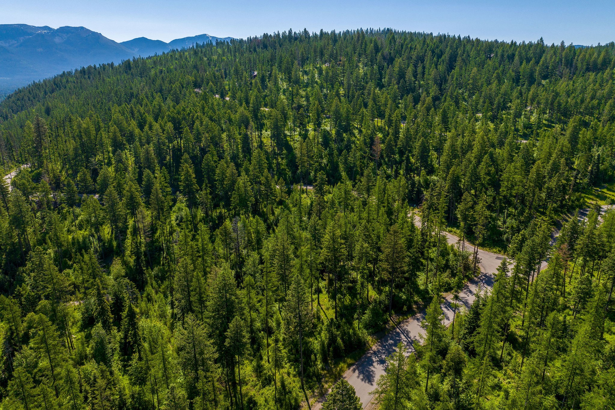 139 Timberjack Trail Property Photo 8