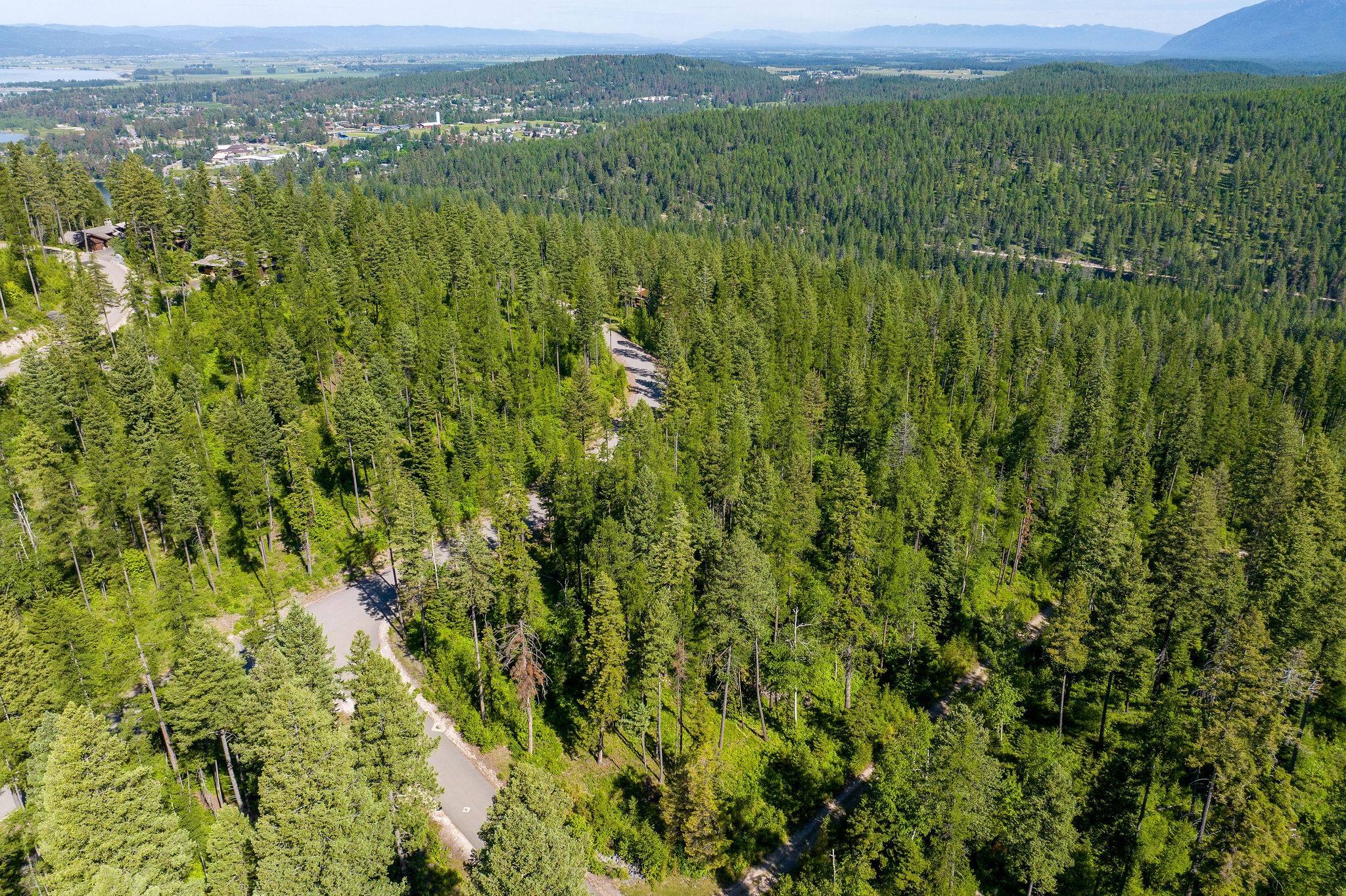 139 Timberjack Trail Property Photo 9