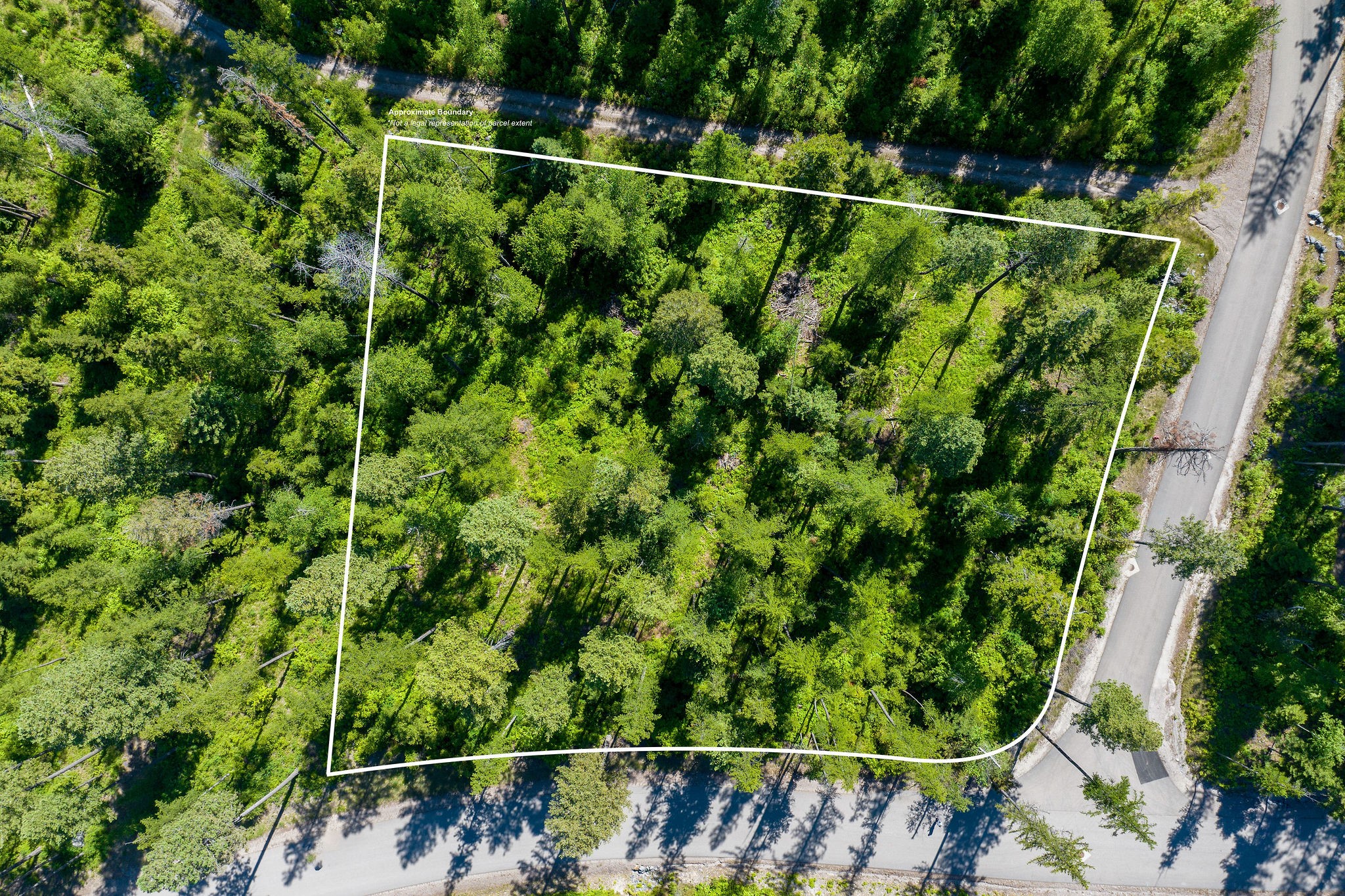 139 Timberjack Trail Property Photo 11