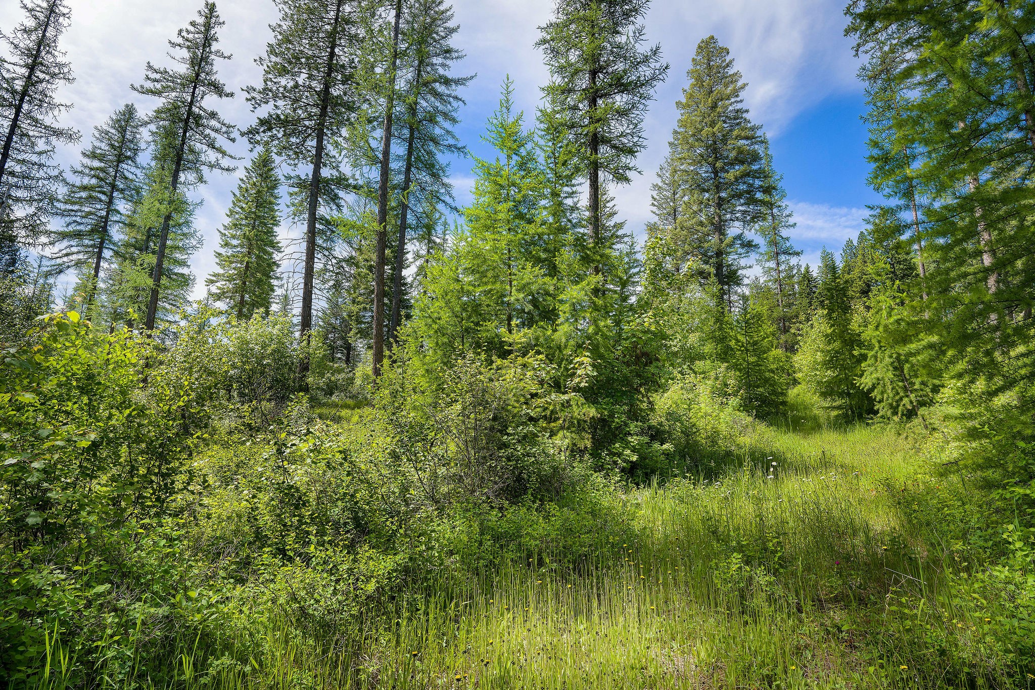 477 Chief Cliff Trail Property Photo 2