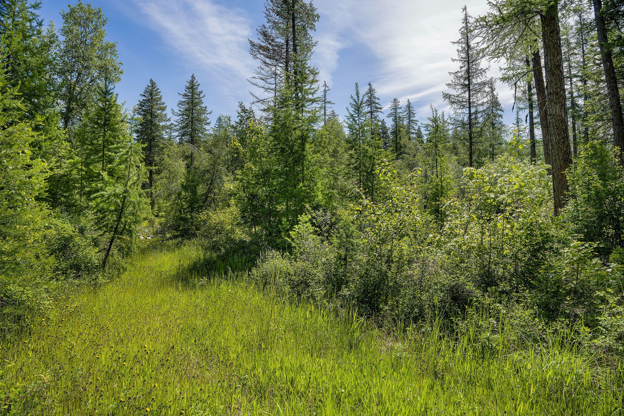 477 Chief Cliff Trail Property Photo 4