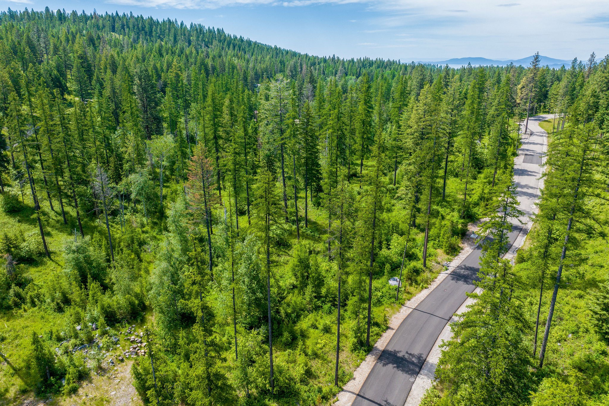 477 Chief Cliff Trail Property Photo 9