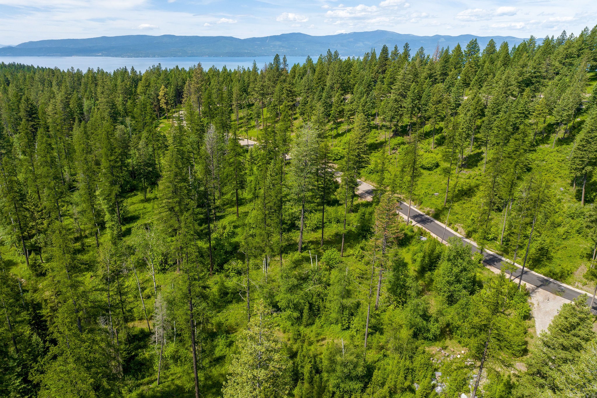 477 Chief Cliff Trail Property Photo 11