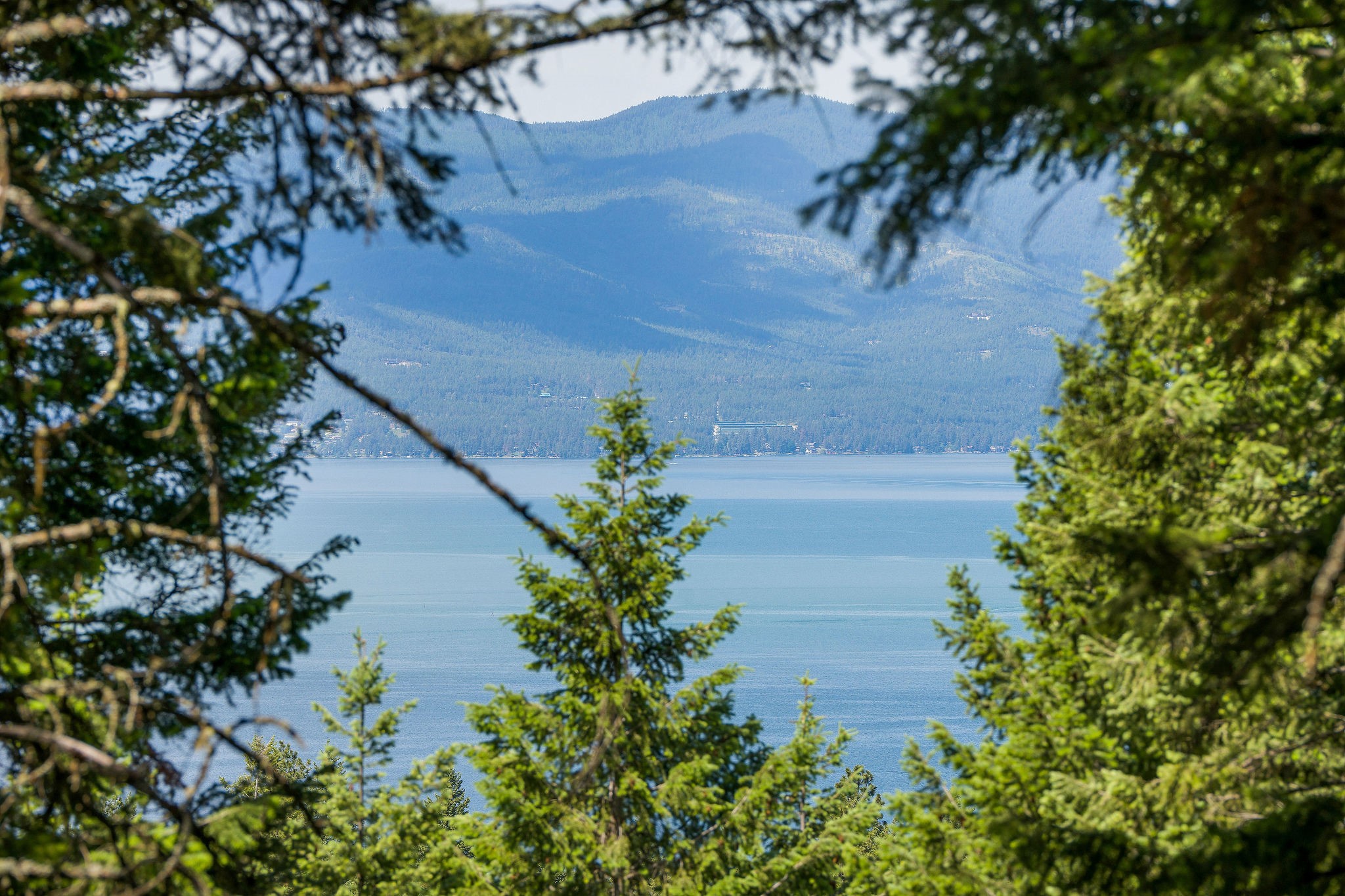 369 Chief Cliff Trail Property Photo 1