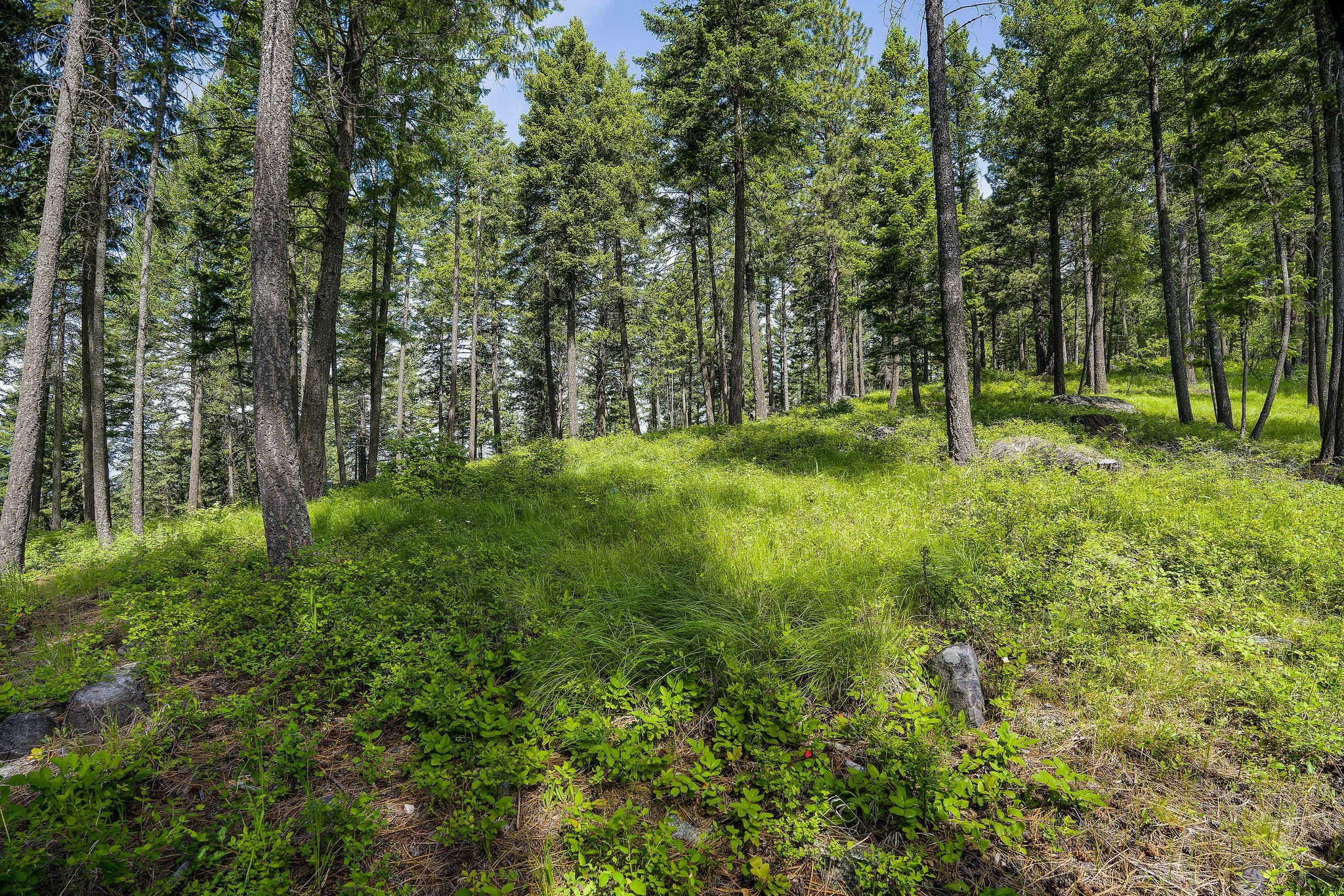 369 Chief Cliff Trail Property Photo 3