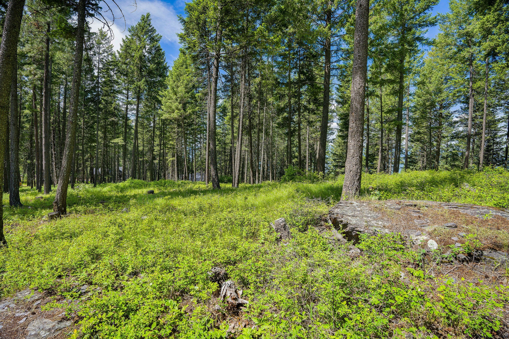 369 Chief Cliff Trail Property Photo 4