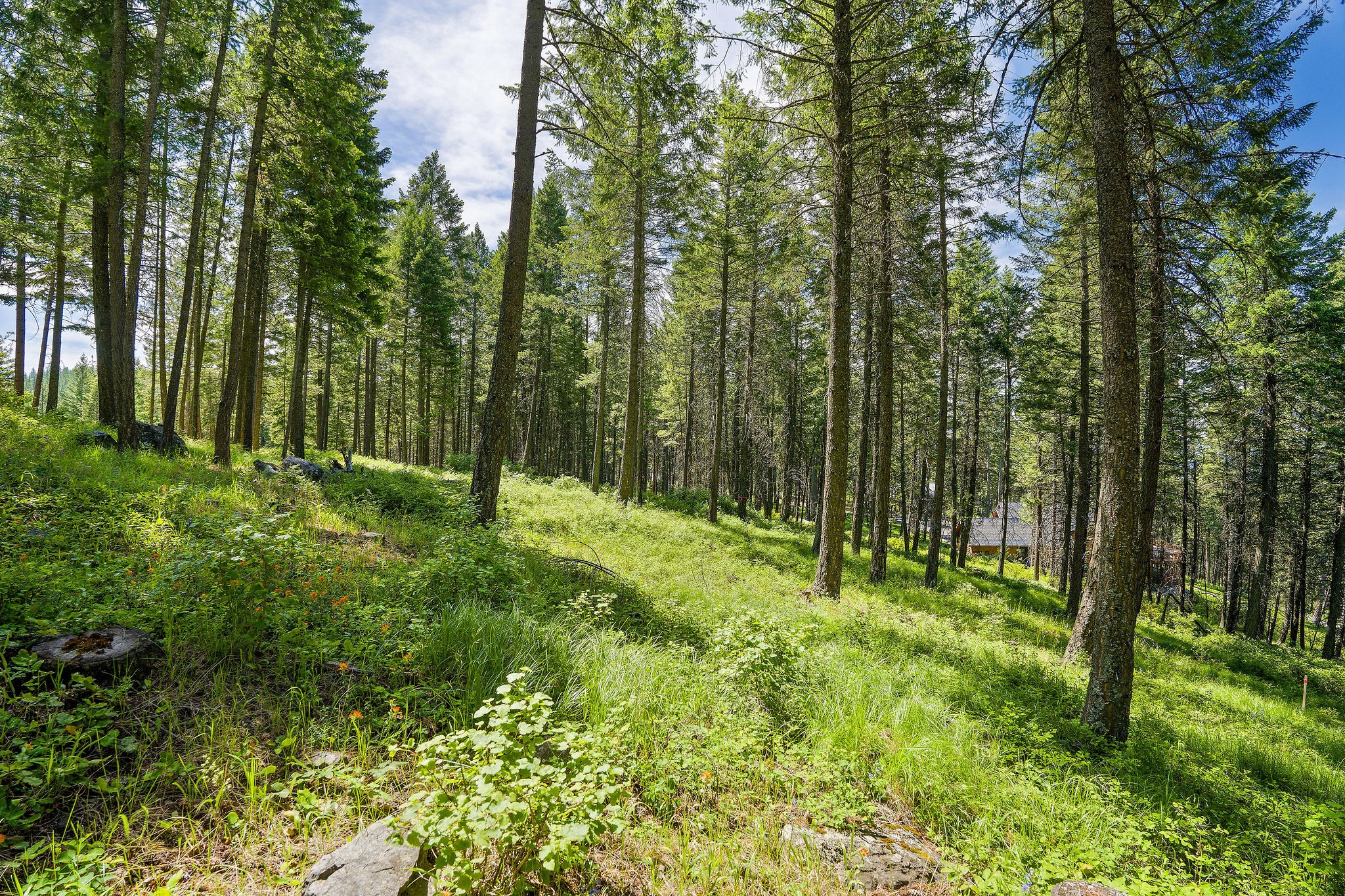 369 Chief Cliff Trail Property Photo 8