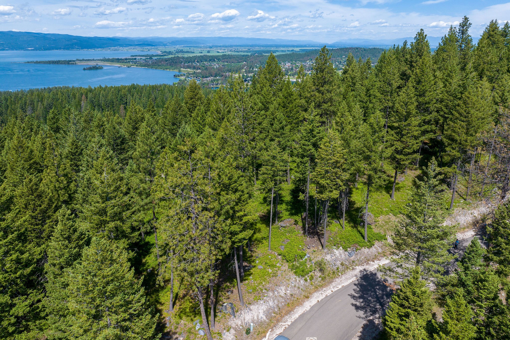 369 Chief Cliff Trail Property Photo 10