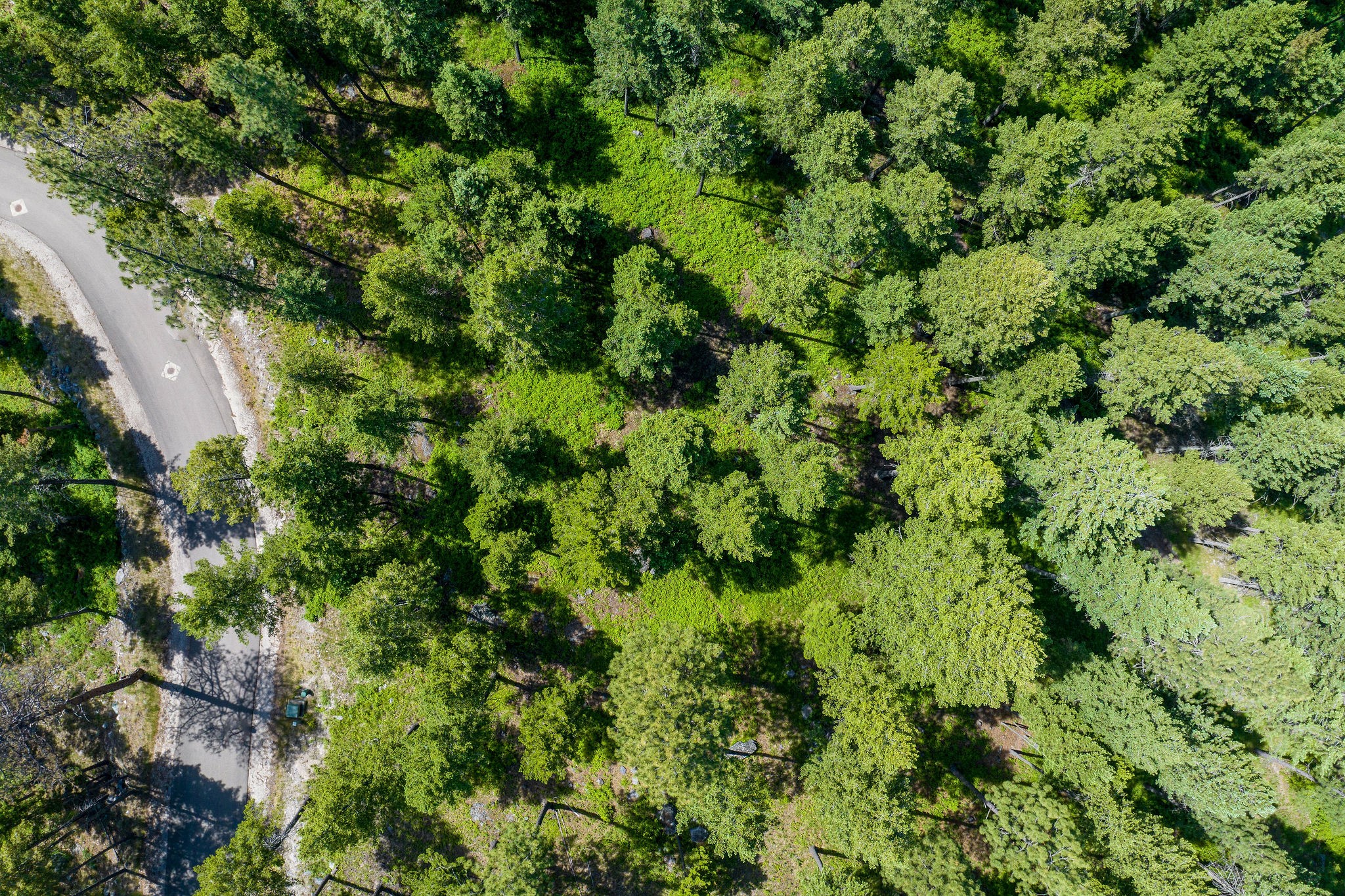 369 Chief Cliff Trail Property Photo 12