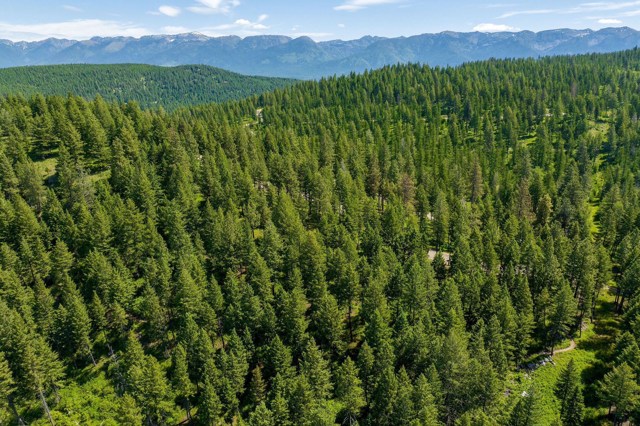 369 Chief Cliff Trail Property Photo 13