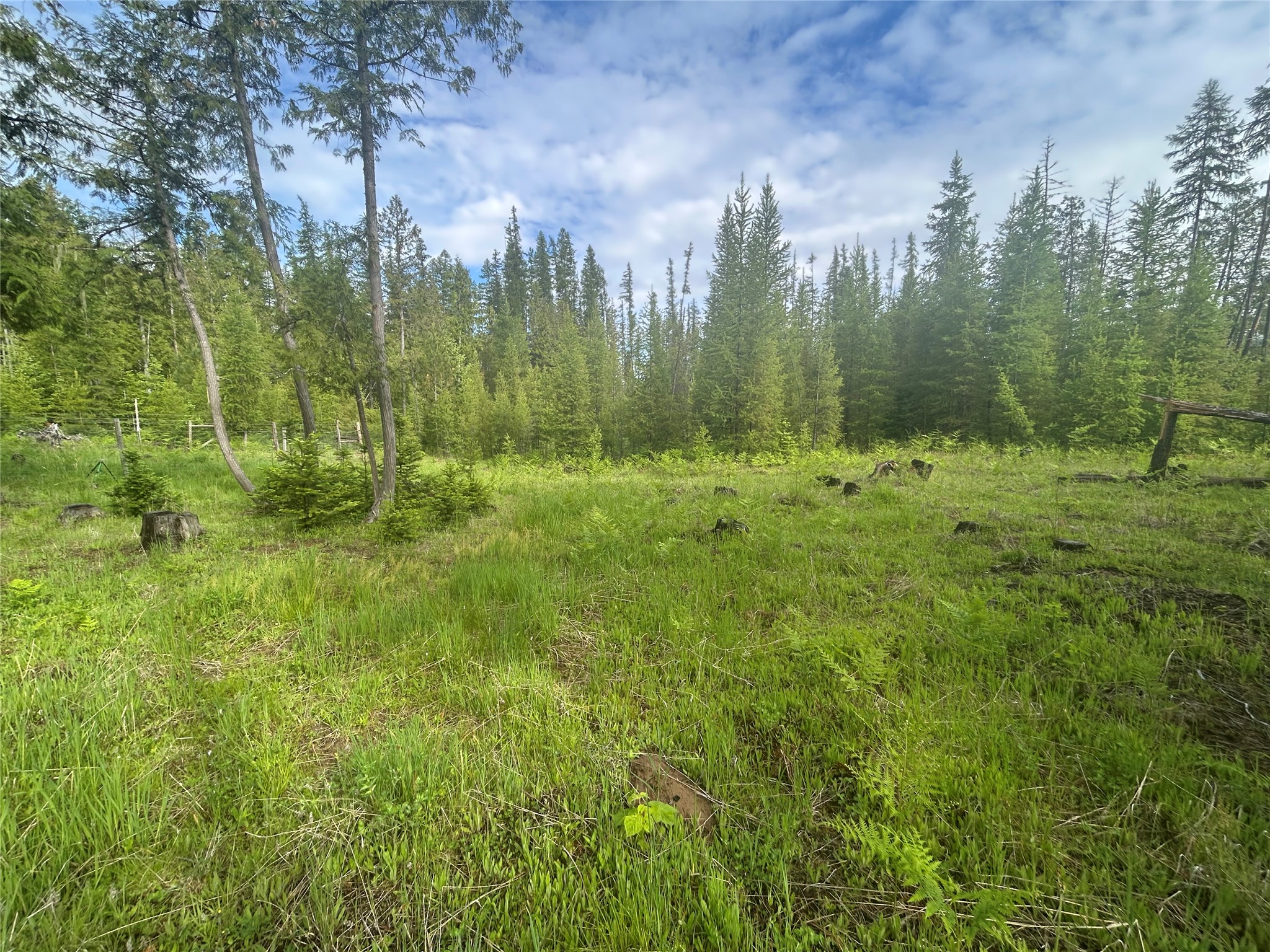 58 Ridge Loop Road Property Photo 69