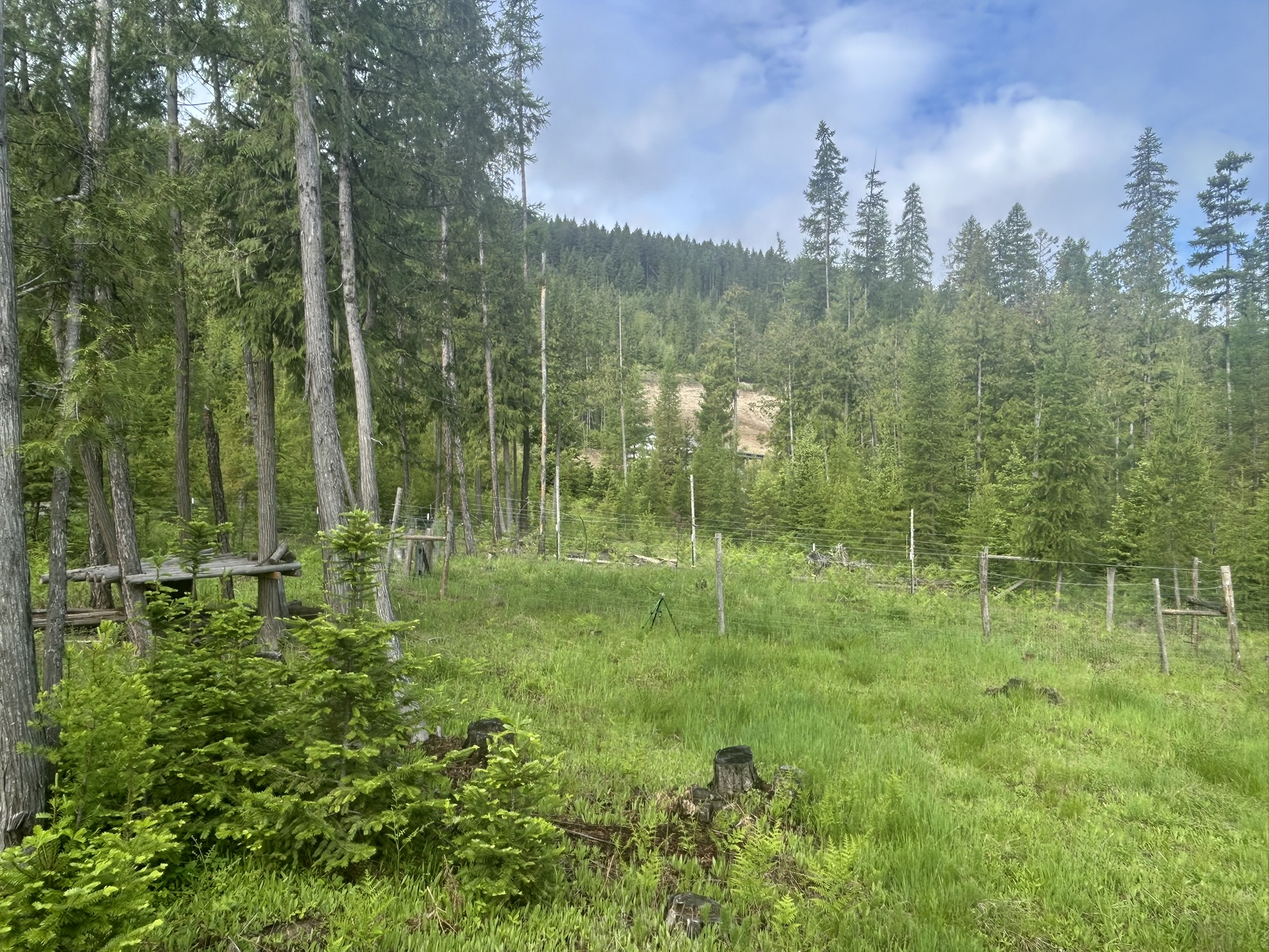 58 Ridge Loop Road Property Photo 71