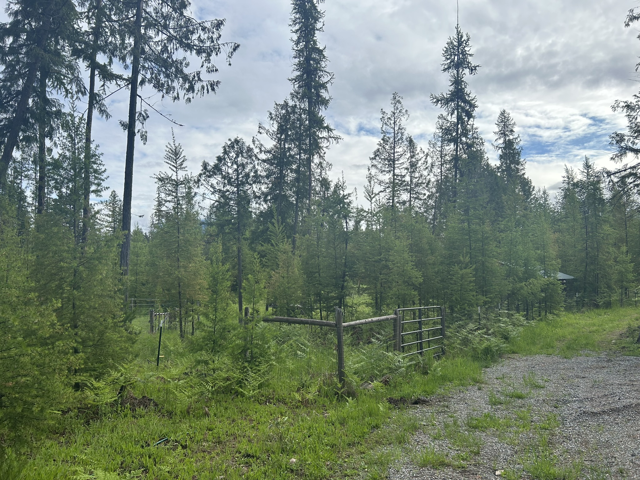 58 Ridge Loop Road Property Photo 75