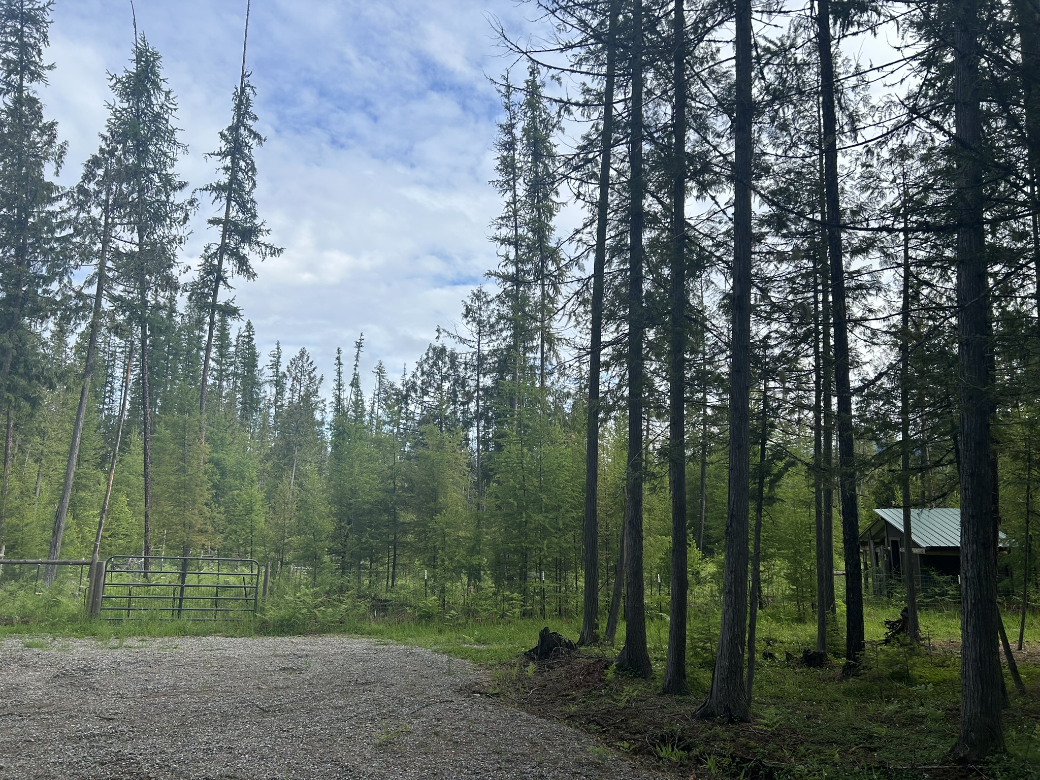 58 Ridge Loop Road Property Photo 76