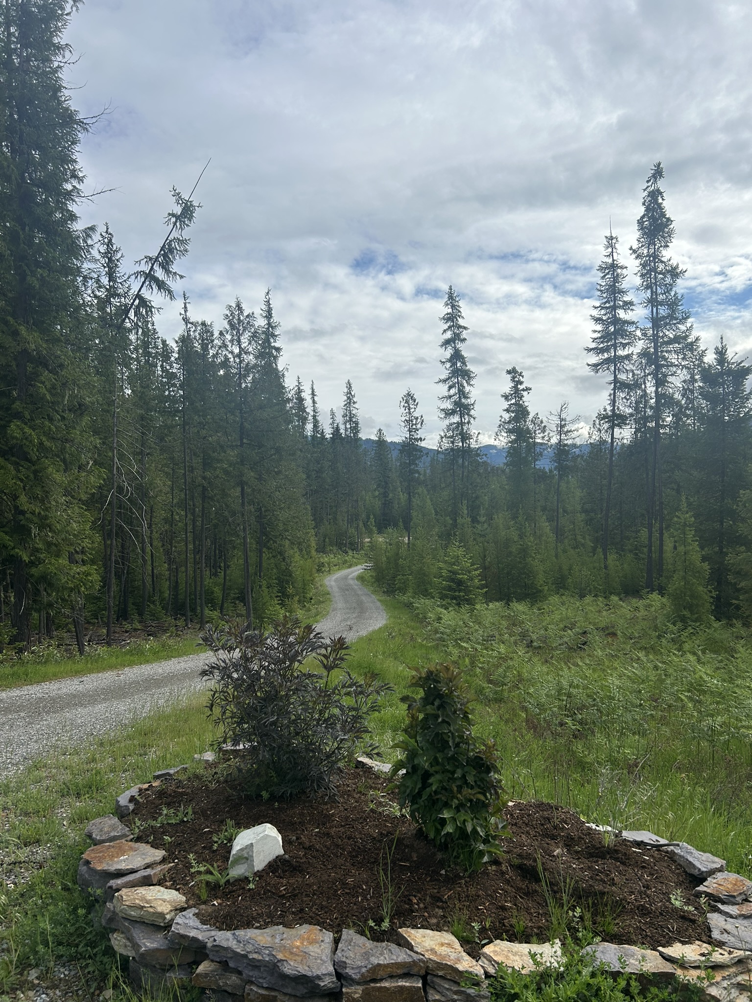 58 Ridge Loop Road Property Photo 96