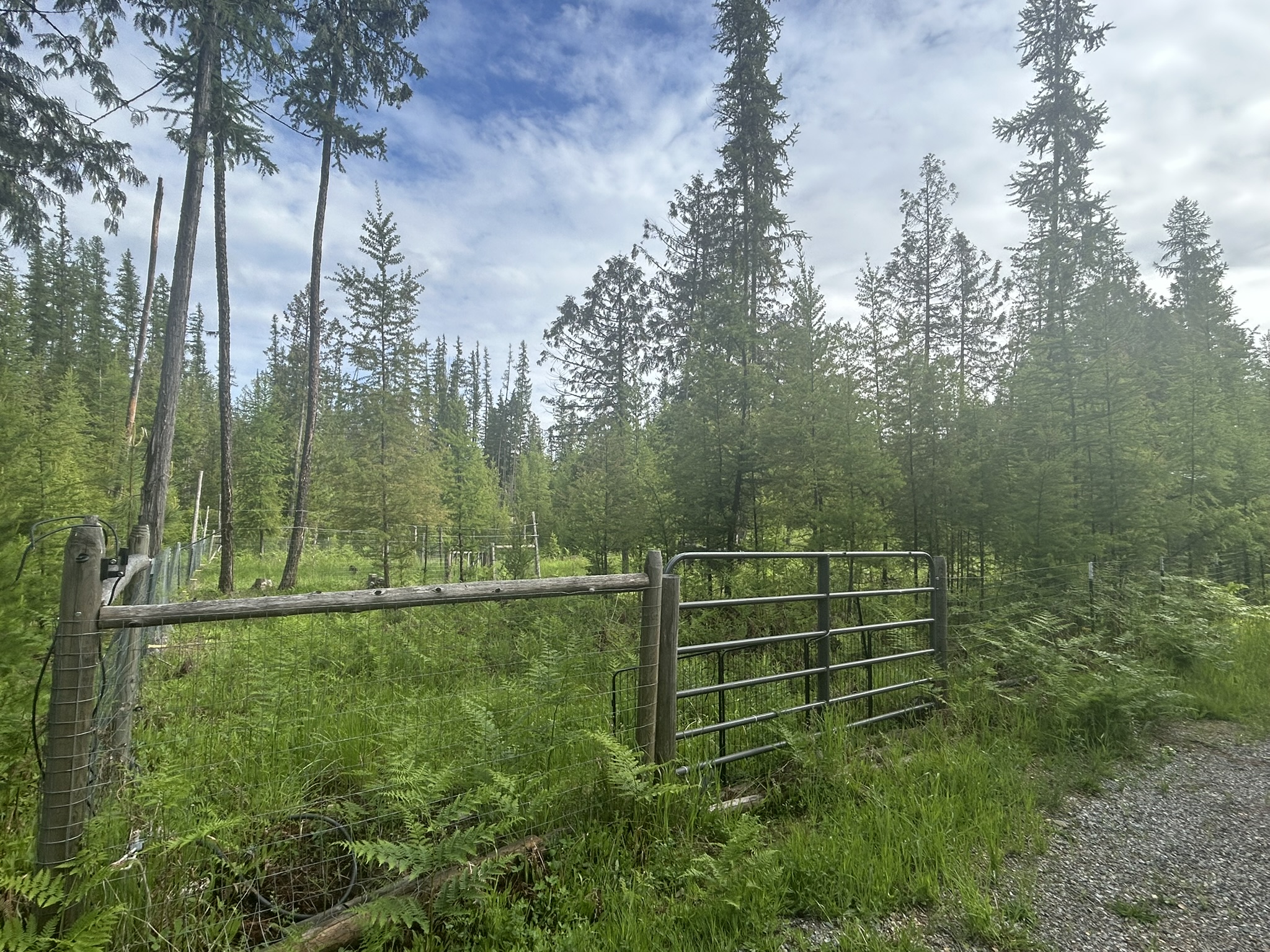 58 Ridge Loop Road Property Photo 97