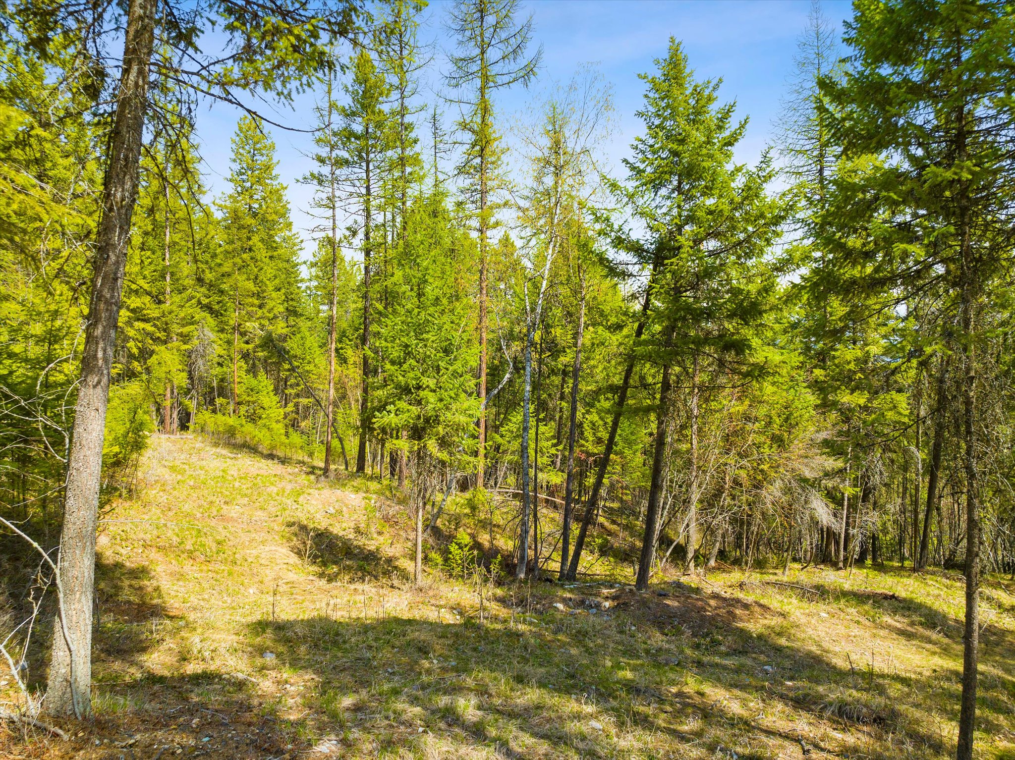 620 & 676 Leksand Trail Property Photo 27