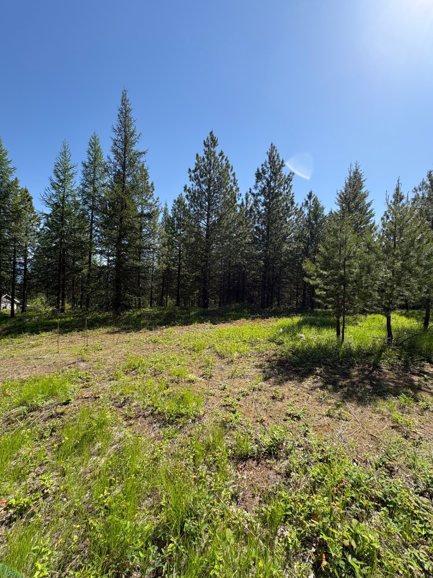 Lots 5 & 6 Panoramic View Drive Property Photo 7