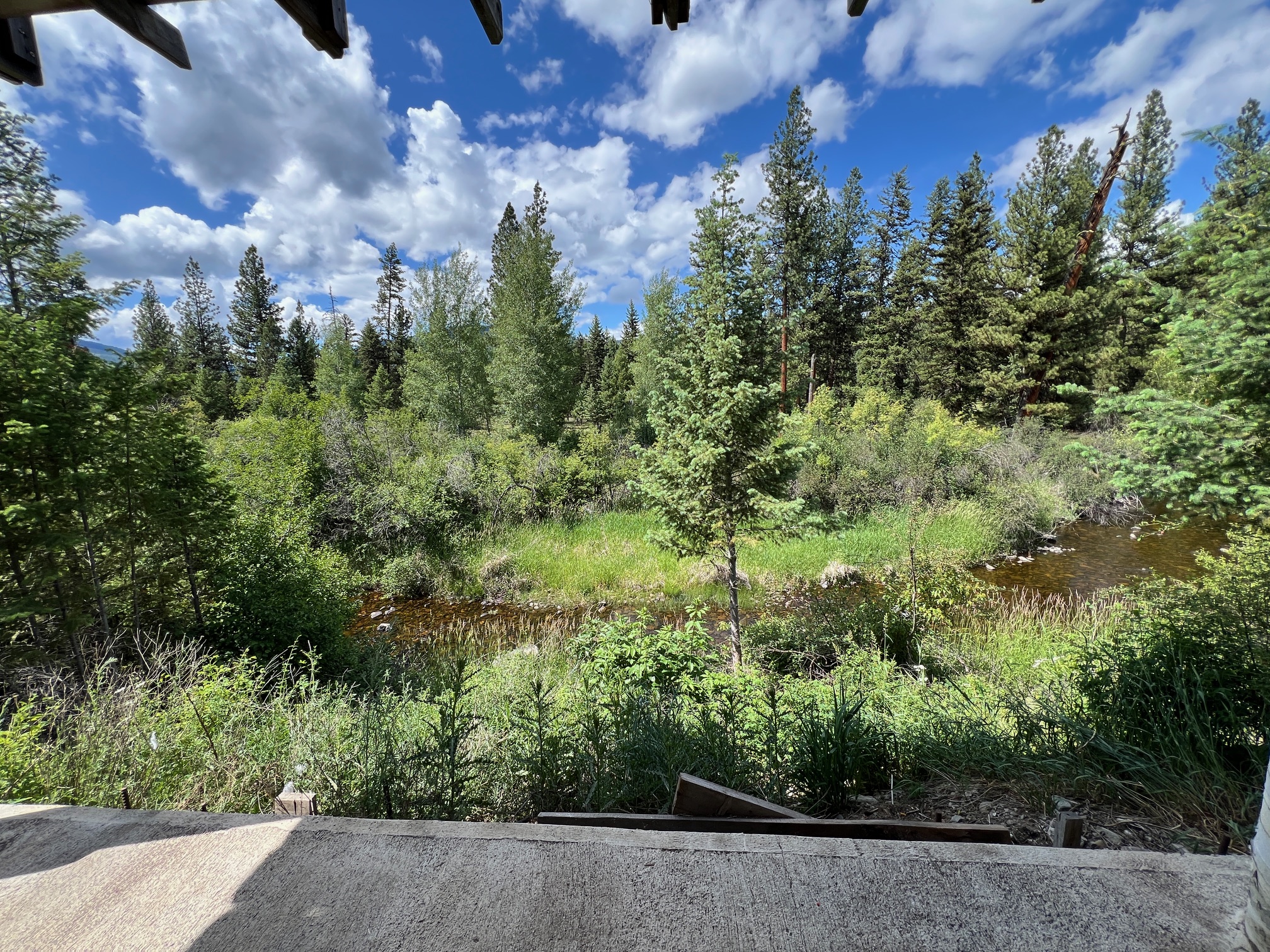 1500 Elk Creek Road Property Photo 20