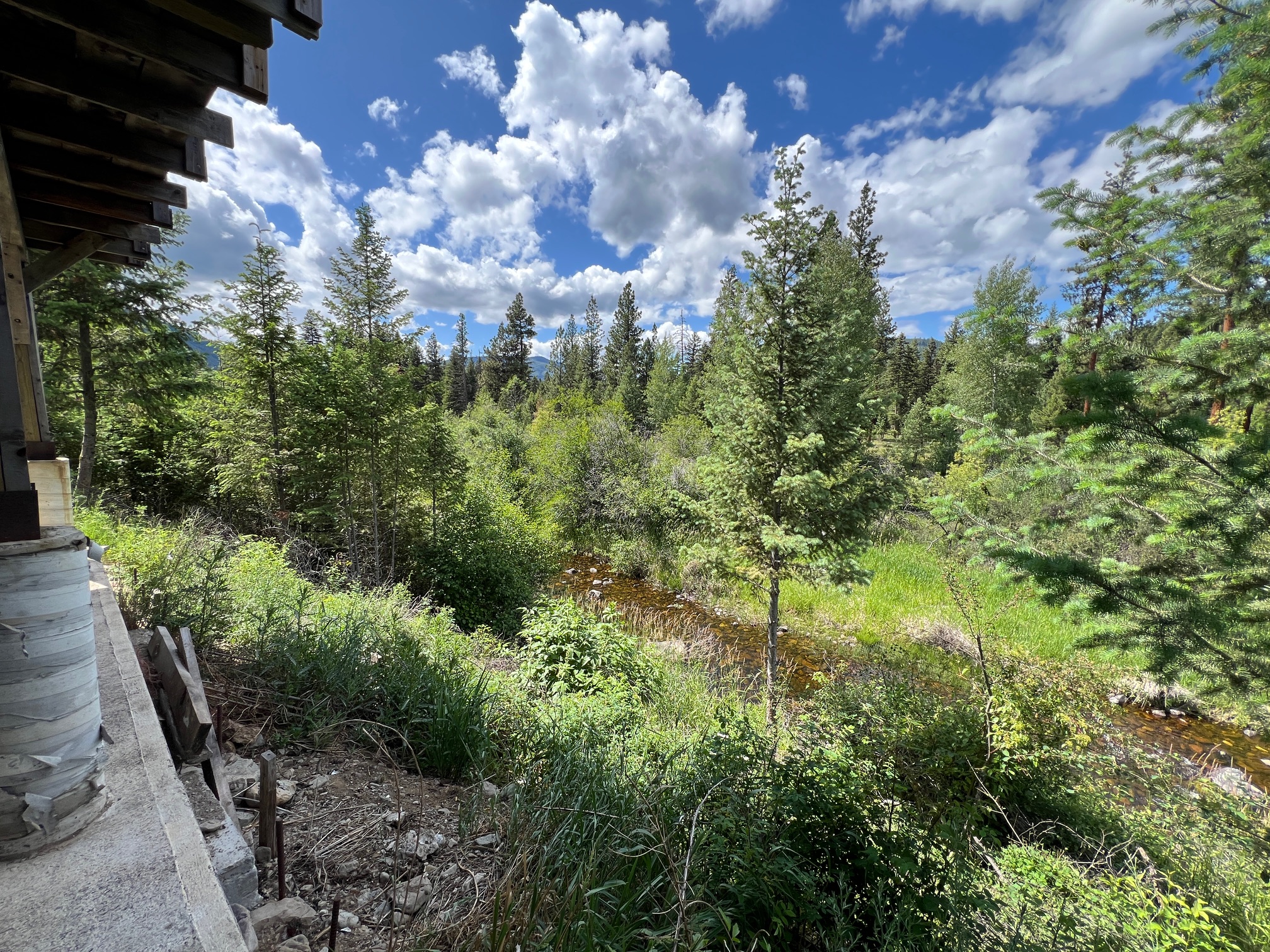 1500 Elk Creek Road Property Photo 21