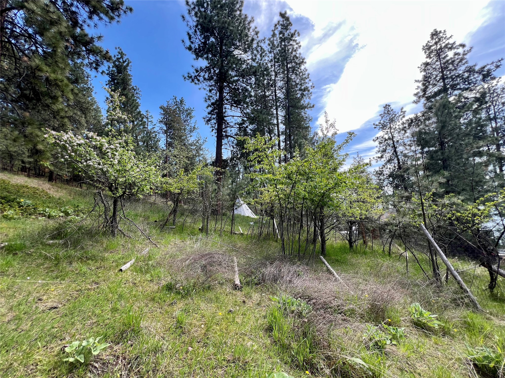 32872 S Finley Point Road Property Photo 8