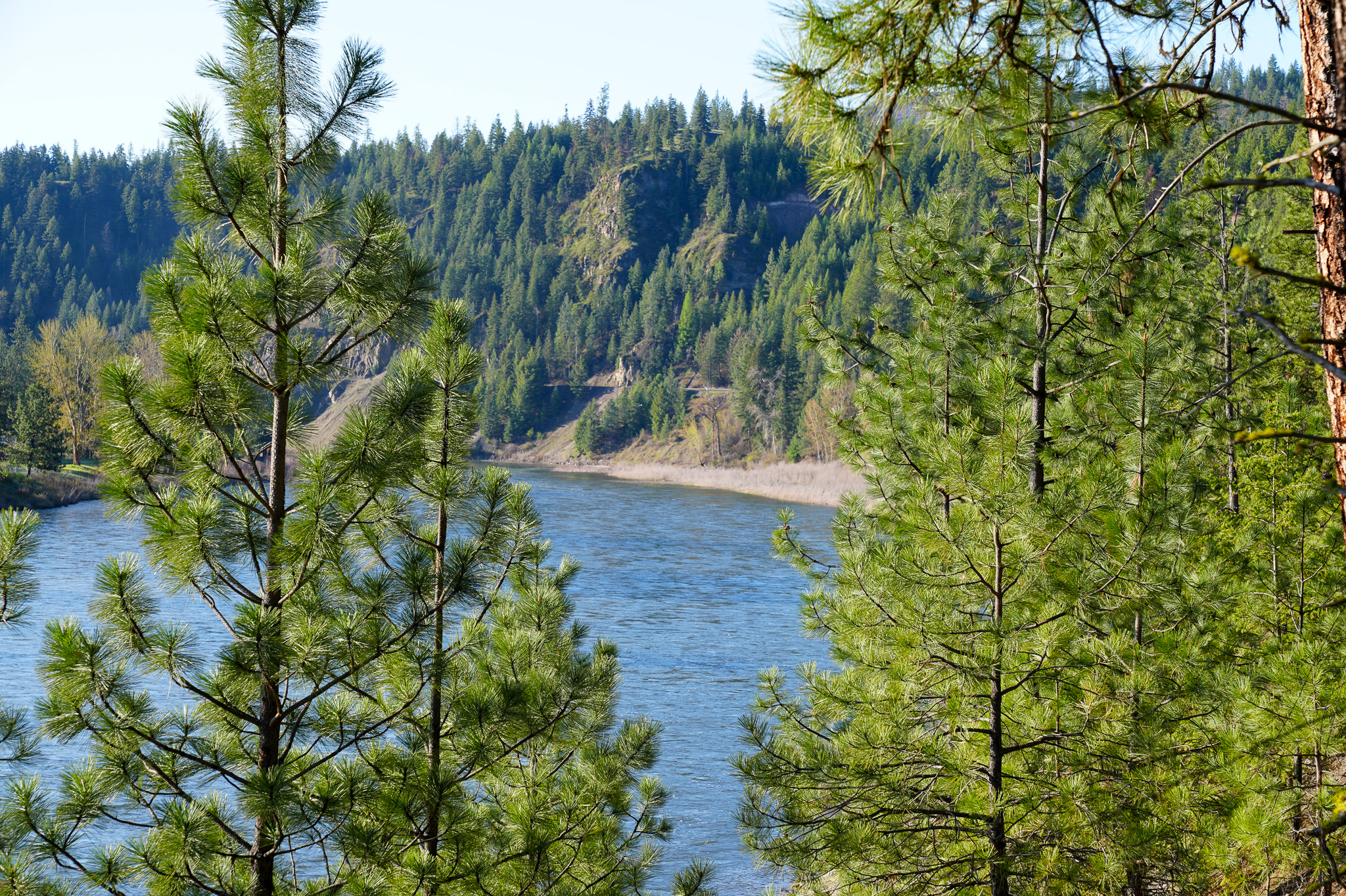 Clark Fork River Sporting Ranch Property Photo 12