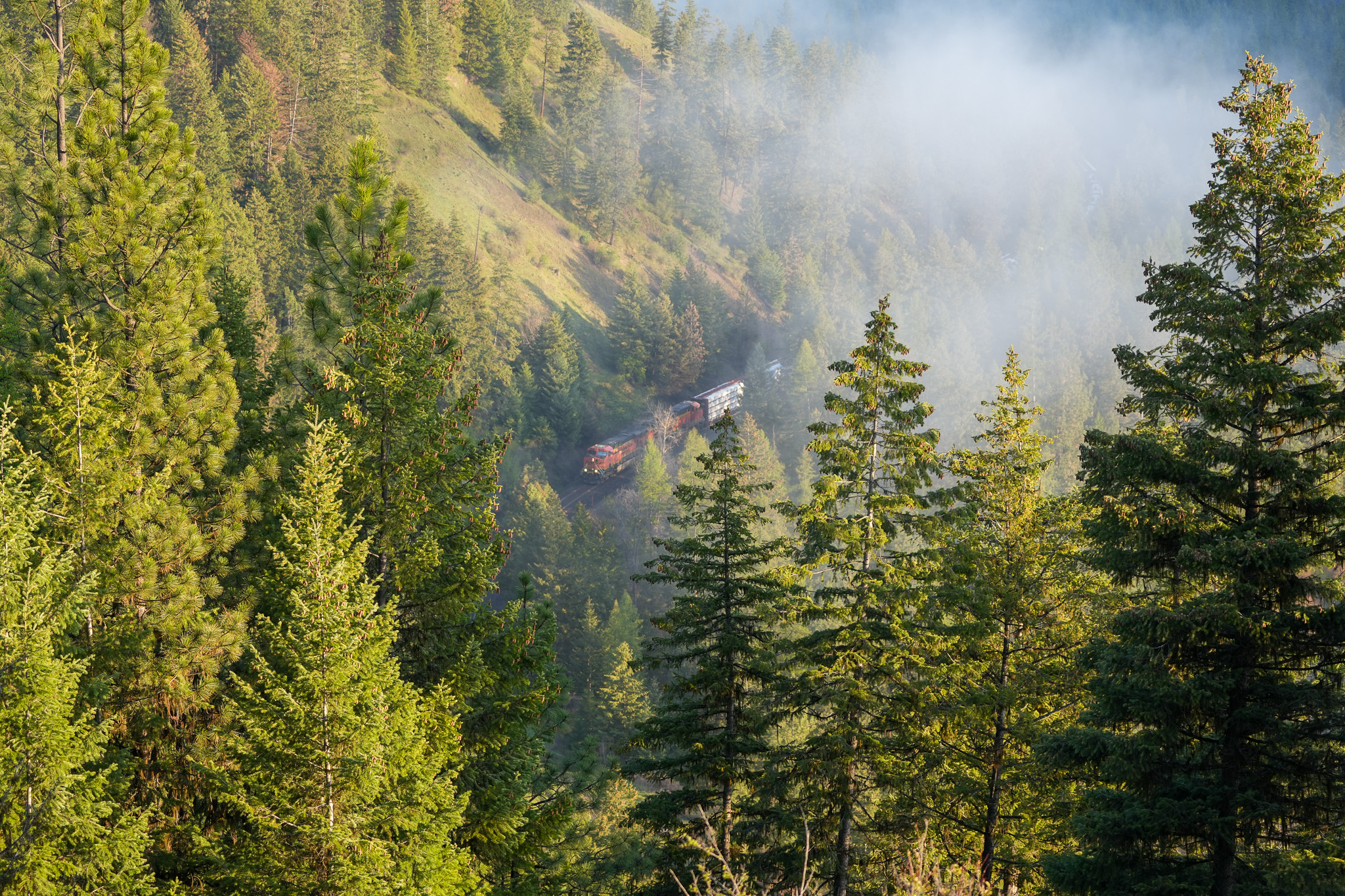 Clark Fork River Sporting Ranch Property Photo 14