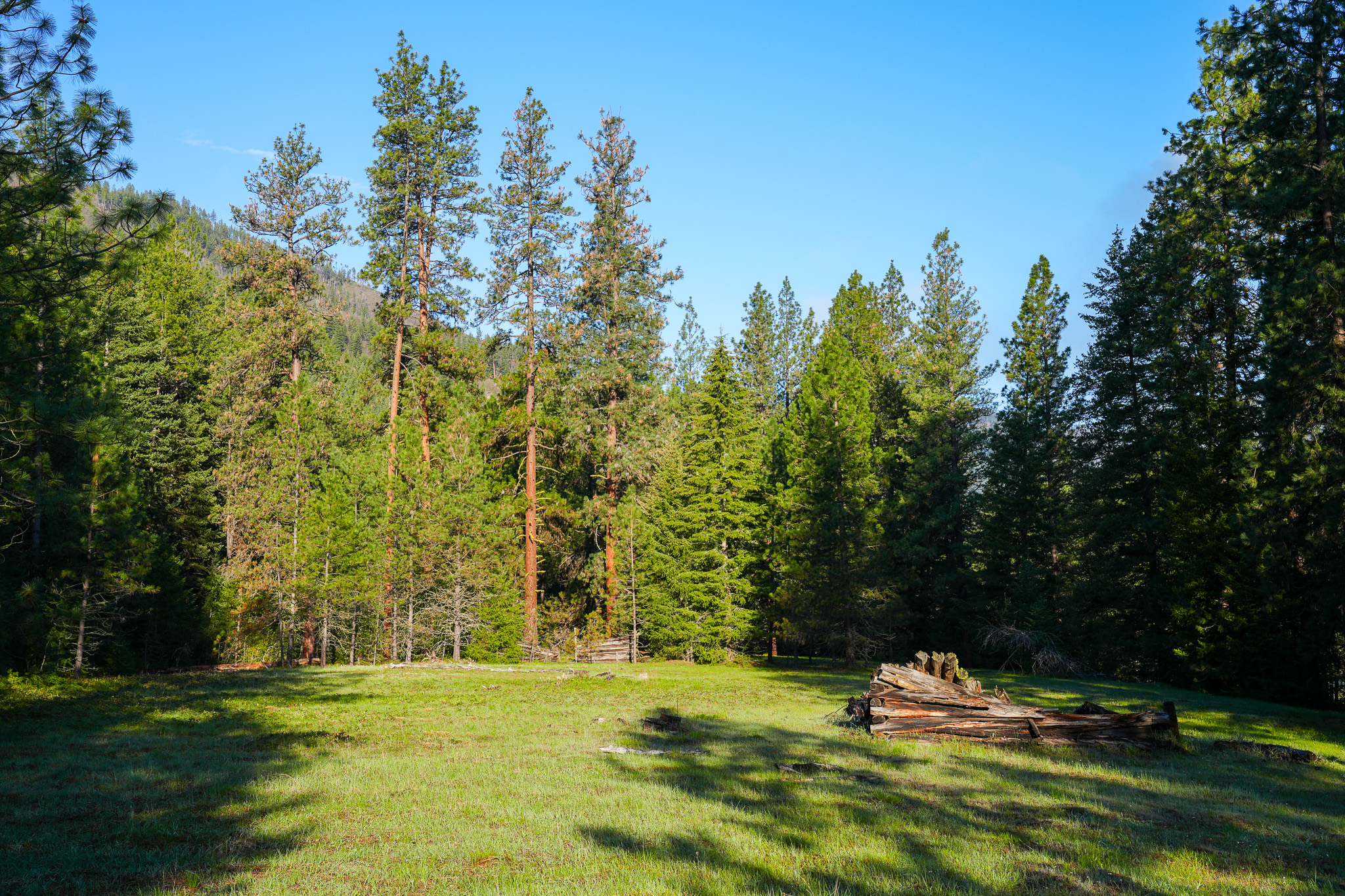 Clark Fork River Sporting Ranch Property Photo 16