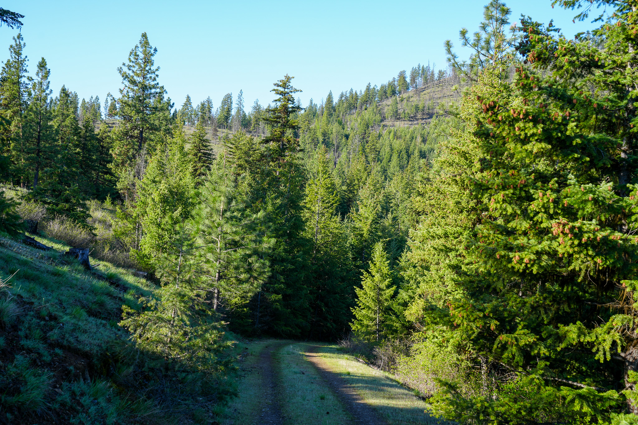 Clark Fork River Sporting Ranch Property Photo 17