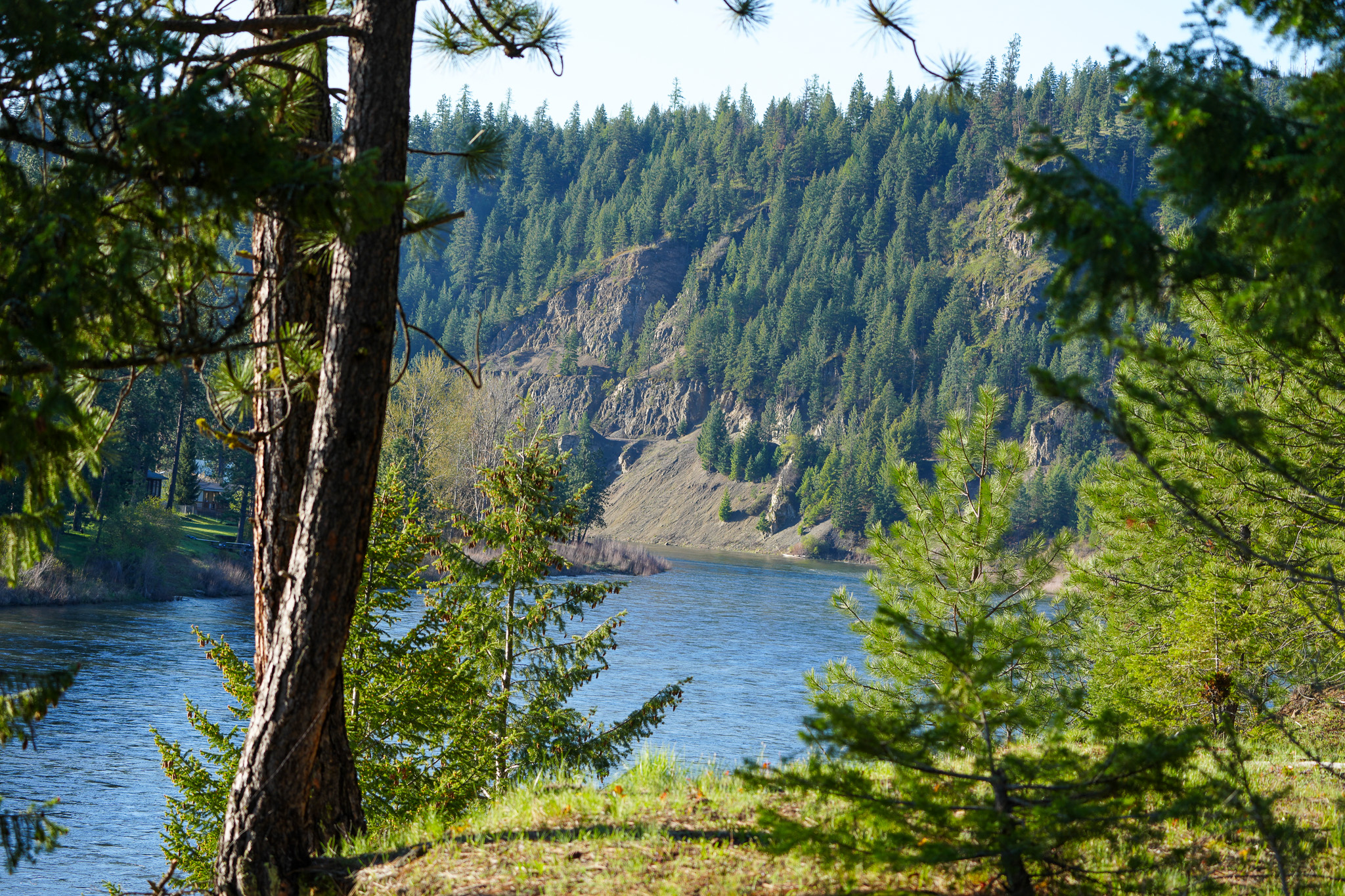 Clark Fork River Sporting Ranch Property Photo 18