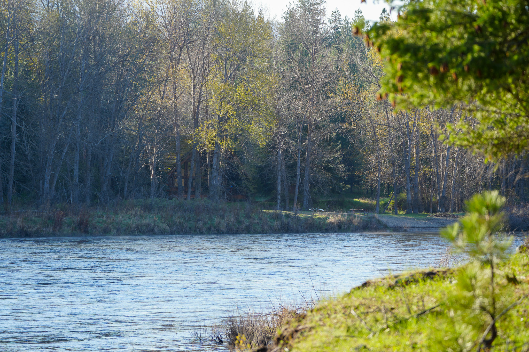 Clark Fork River Sporting Ranch Property Photo 19