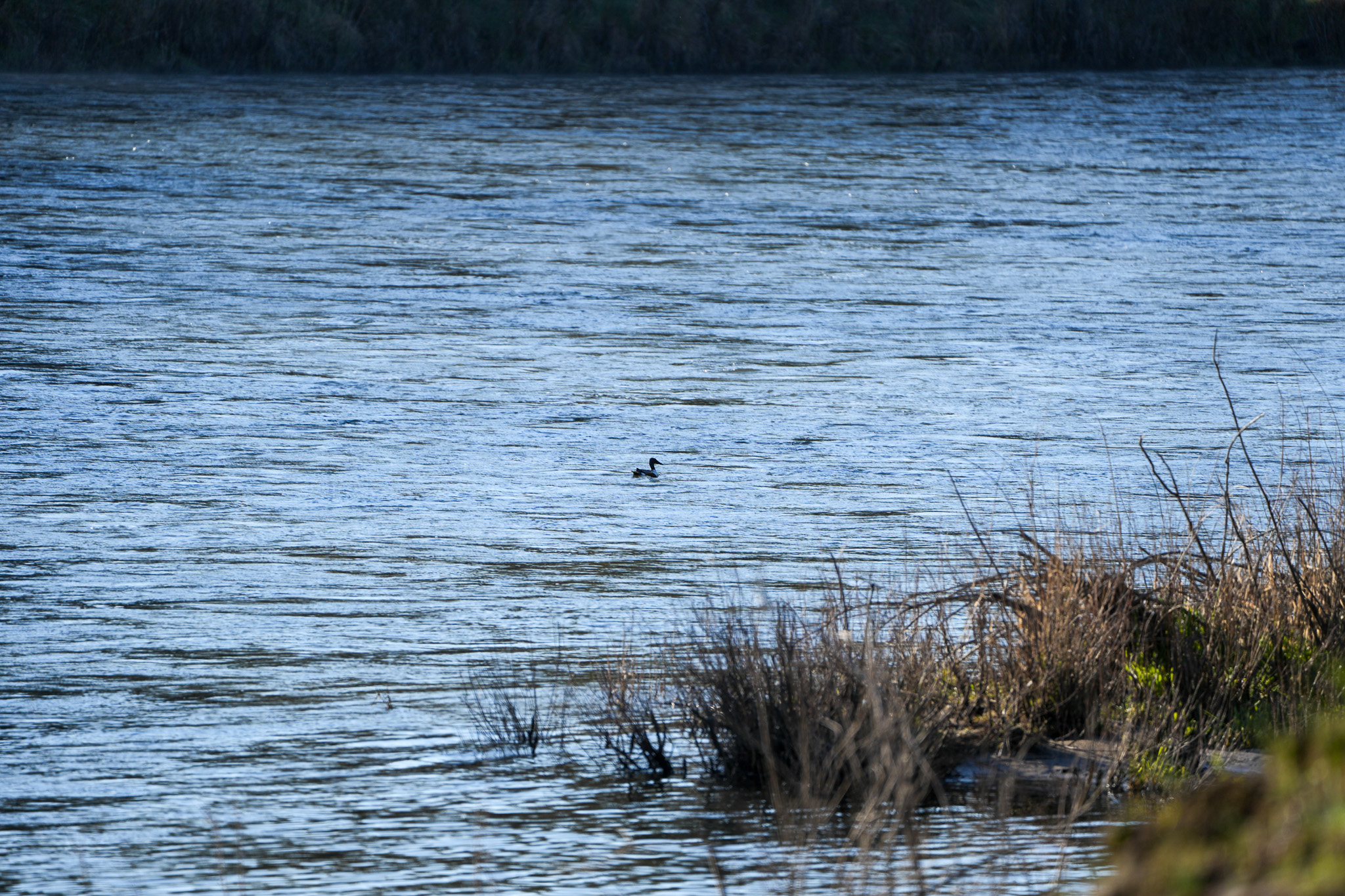 Clark Fork River Sporting Ranch Property Photo 20