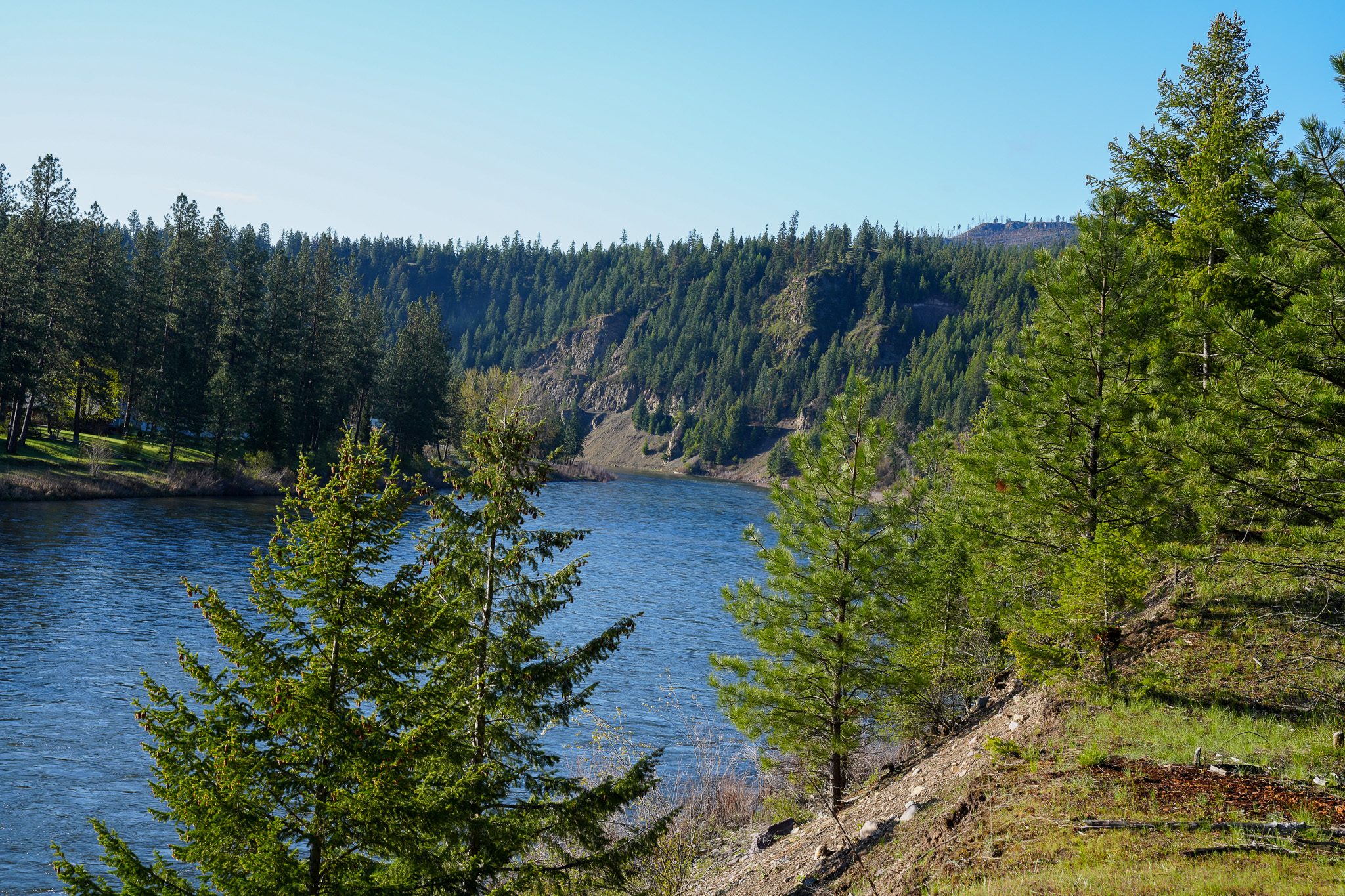 Clark Fork River Sporting Ranch Property Photo 21