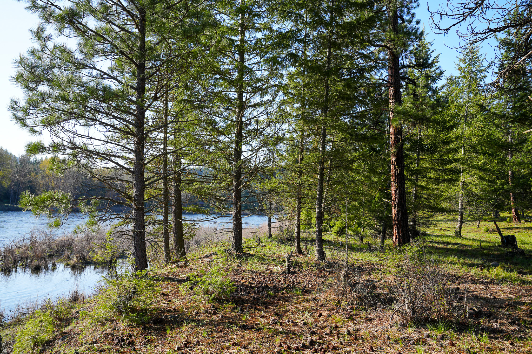 Clark Fork River Sporting Ranch Property Photo 22