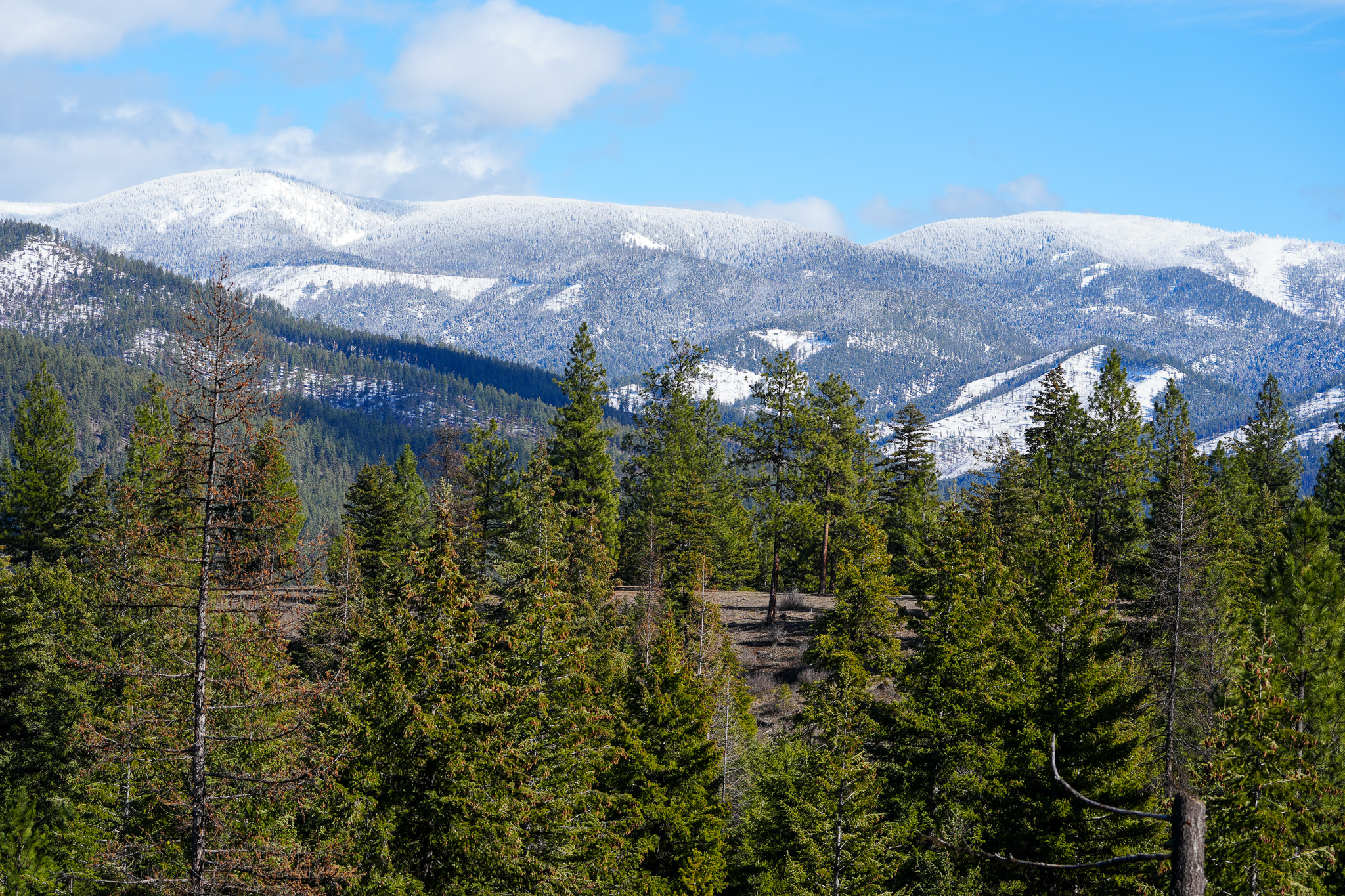 Clark Fork River Sporting Ranch Property Photo 23