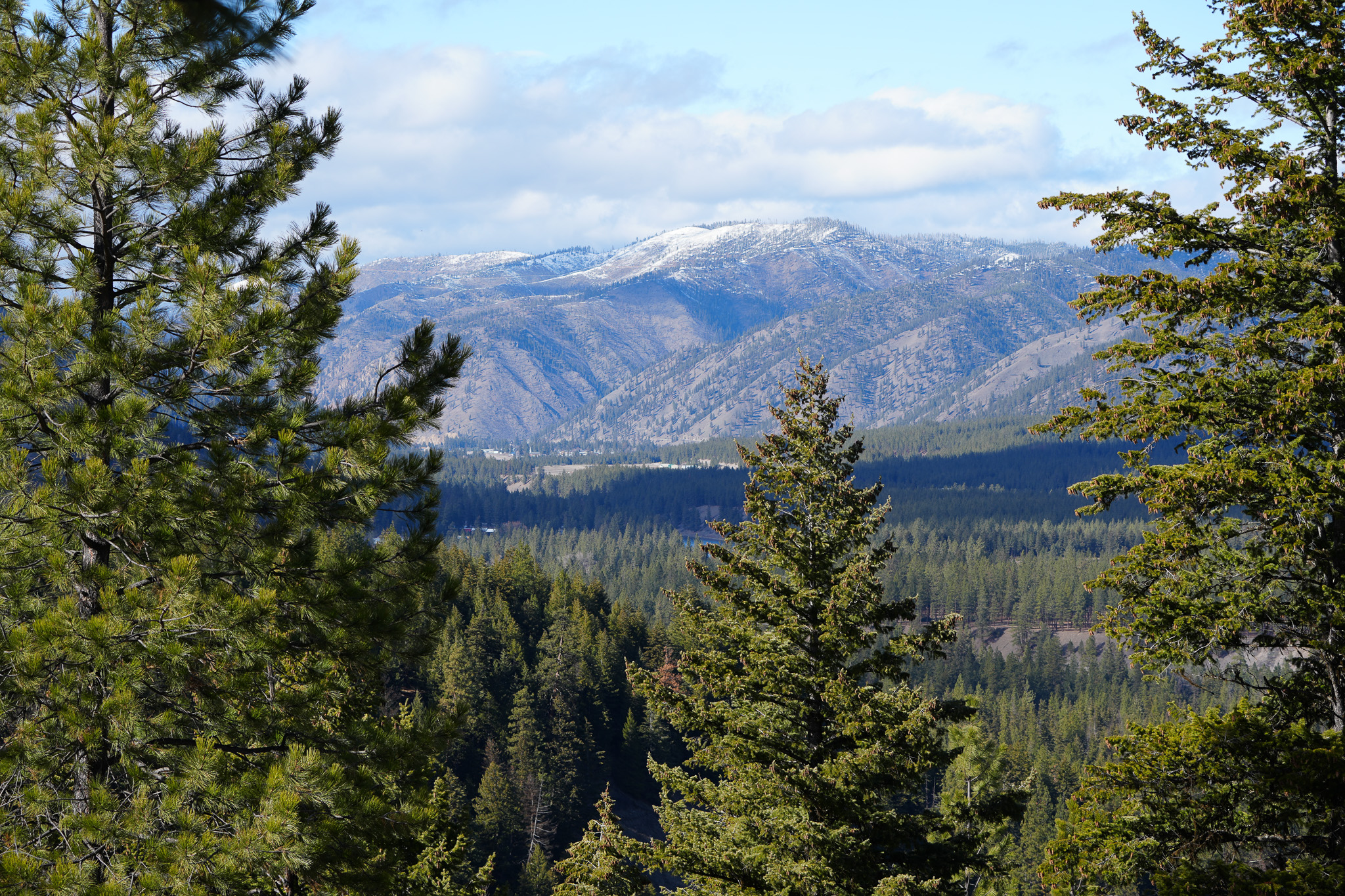Clark Fork River Sporting Ranch Property Photo 24