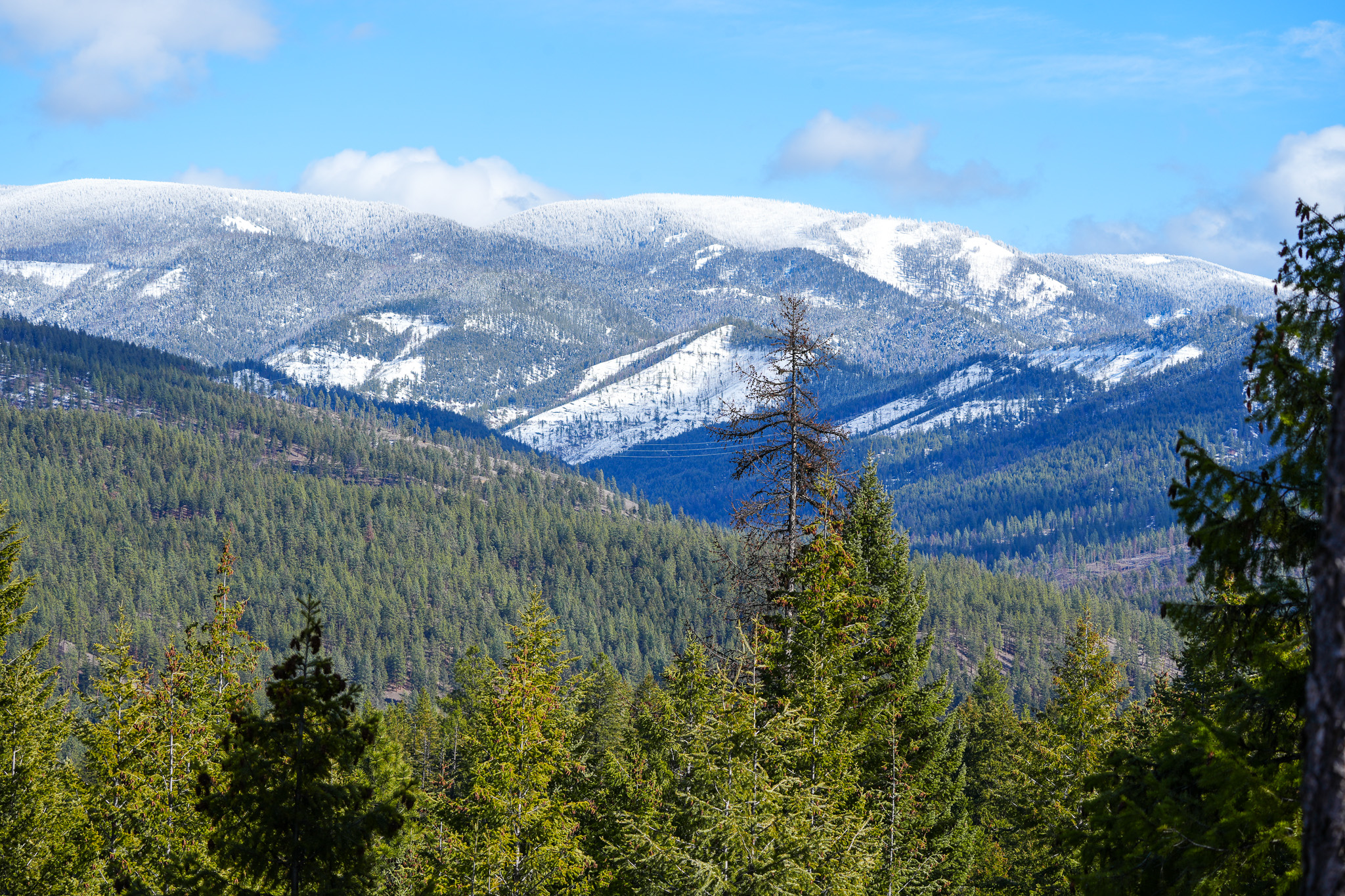 Clark Fork River Sporting Ranch Property Photo 25