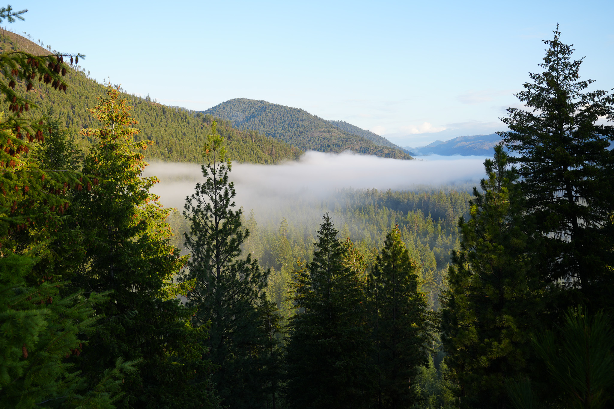 Clark Fork River Sporting Ranch Property Photo 36
