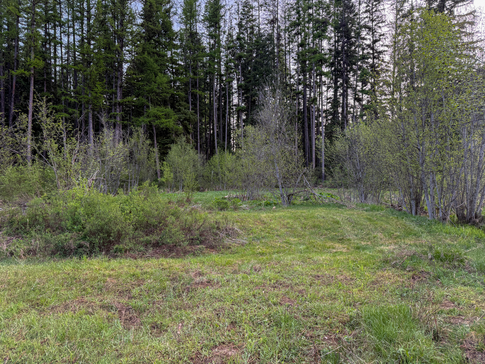 168 Hope Valley Road Property Photo 25