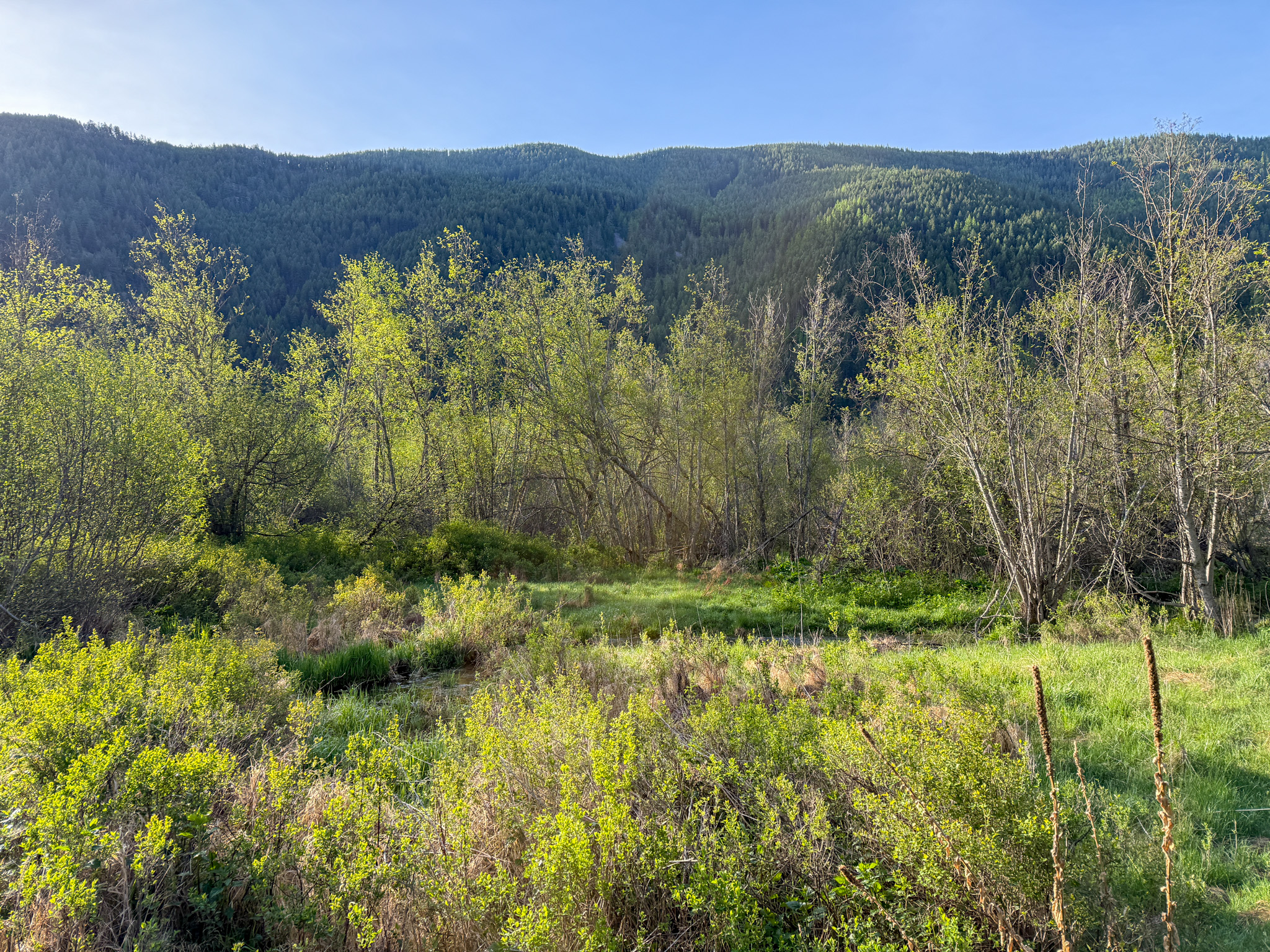 168 Hope Valley Road Property Photo 26