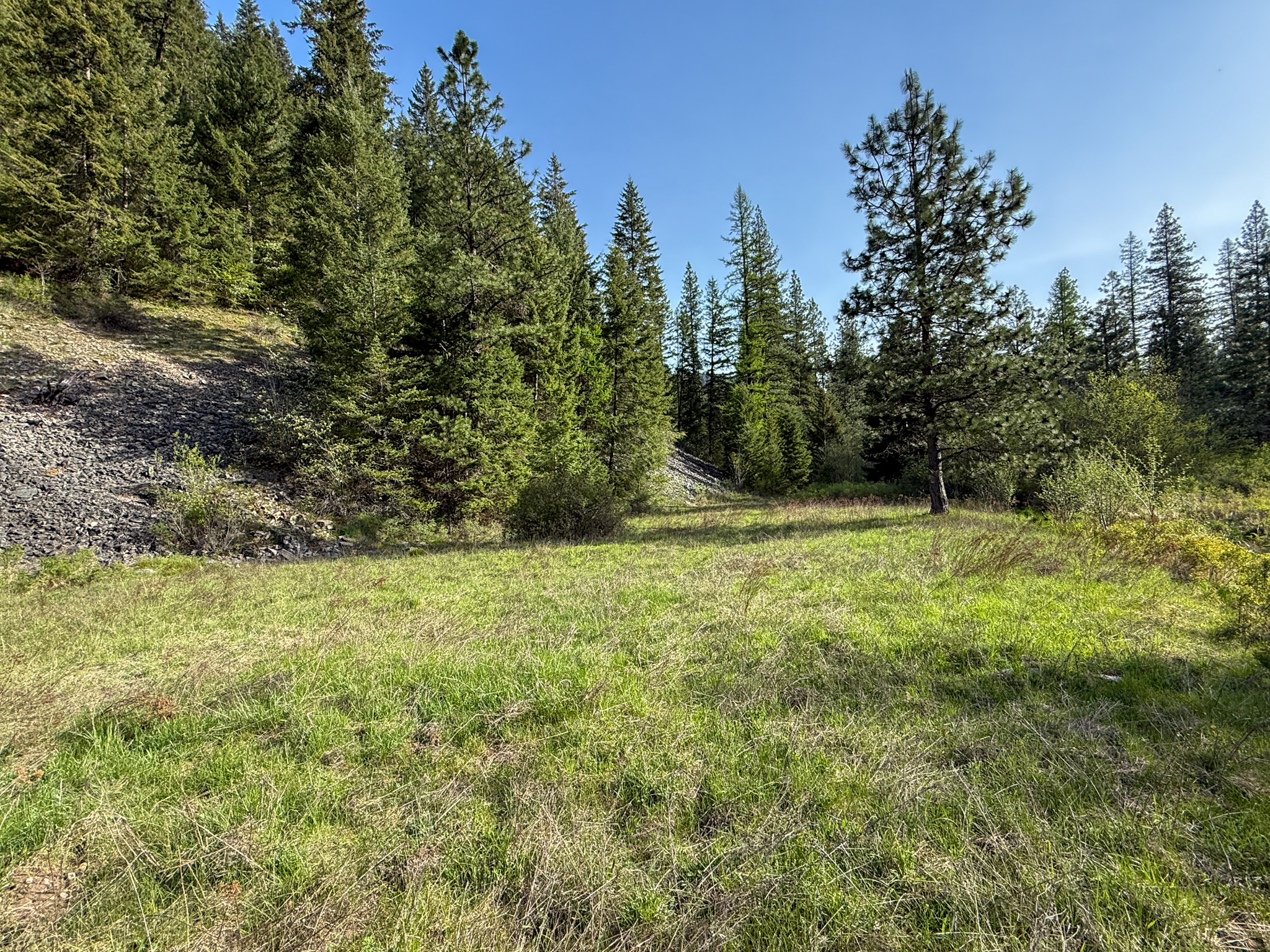 168 Hope Valley Road Property Photo 28